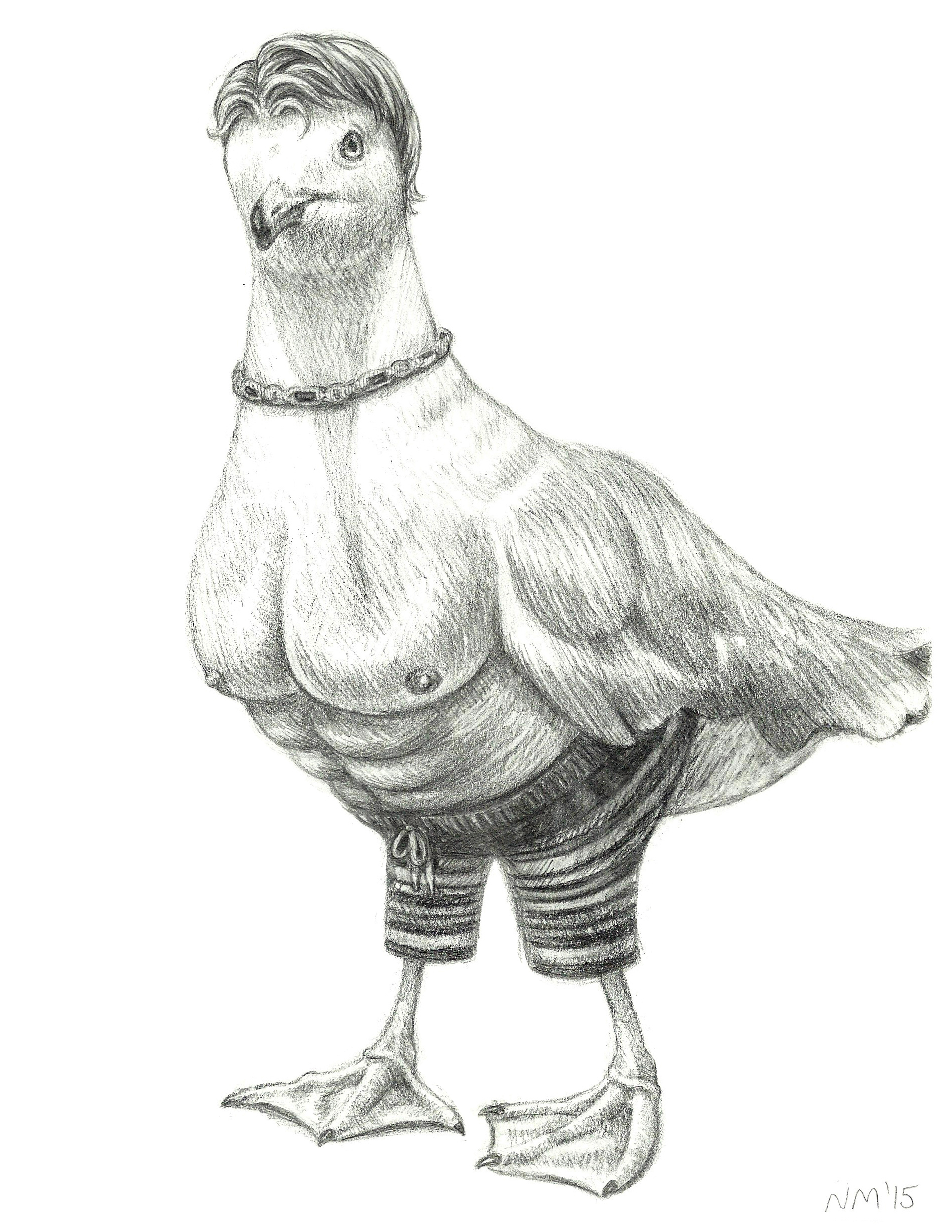 Dreamy Seagull