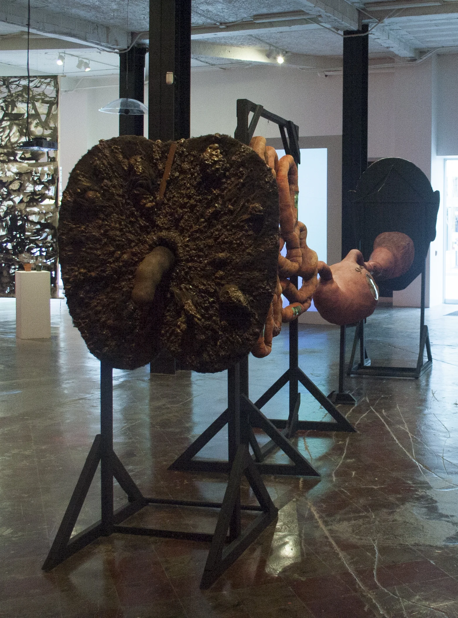 Journey Through the Digestive System (rear)