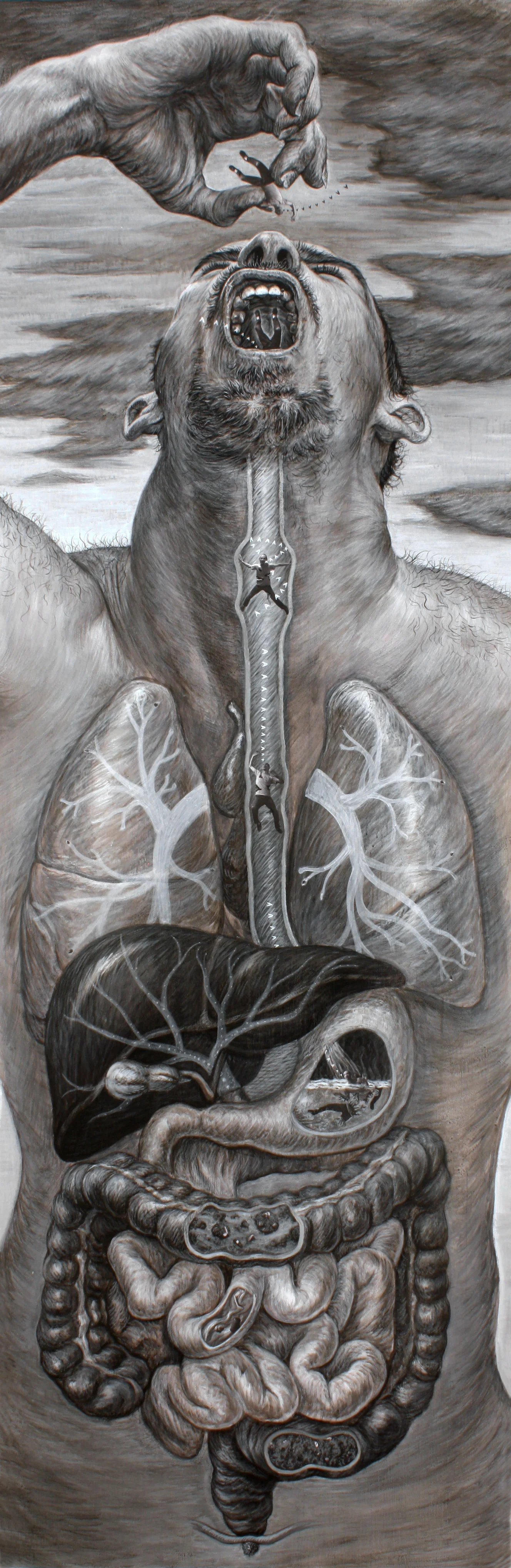 Journey Through the Digestive System