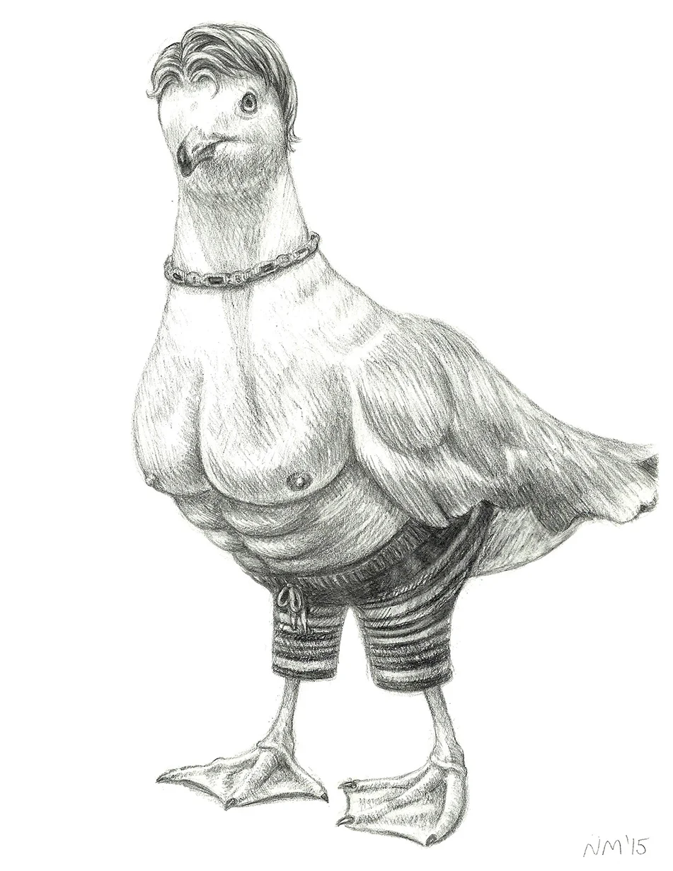 Dreamy Seagull