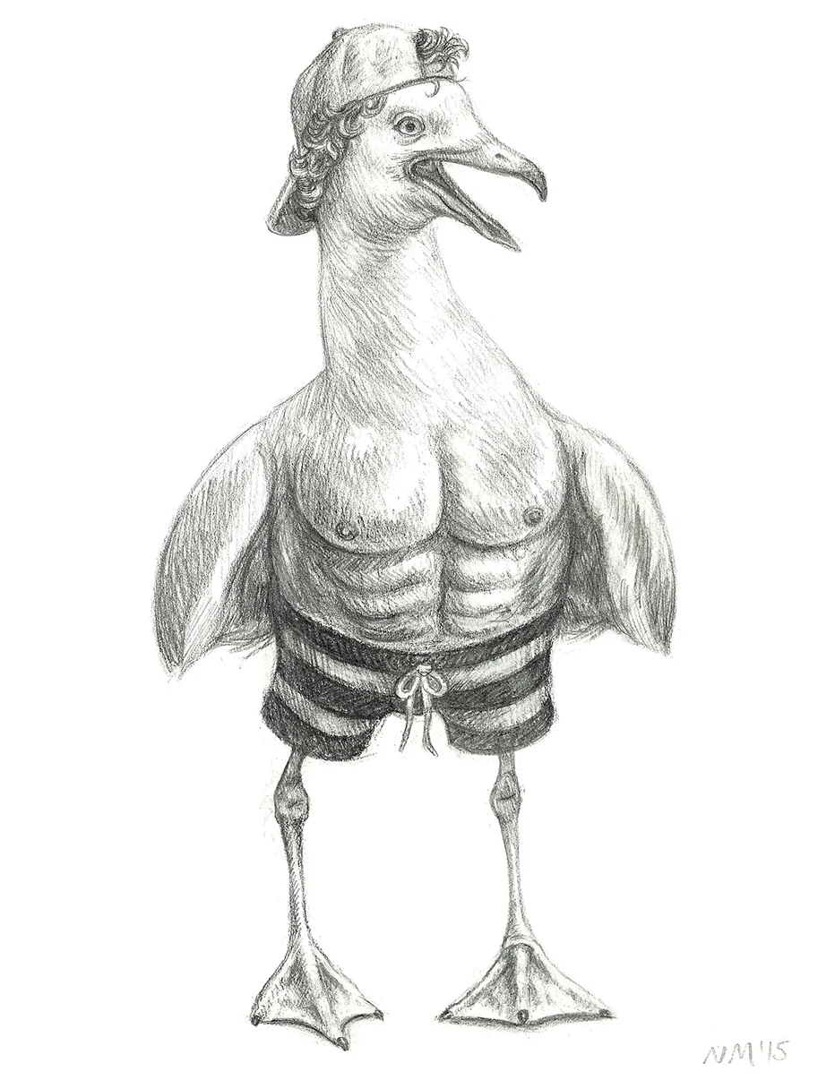 Sporty Seagull