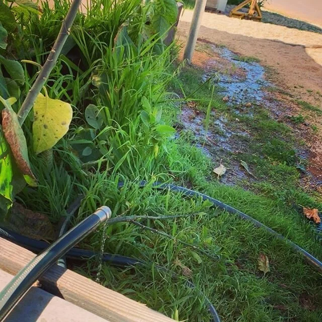 Pearson Brothers Winery The Original Honey Wine