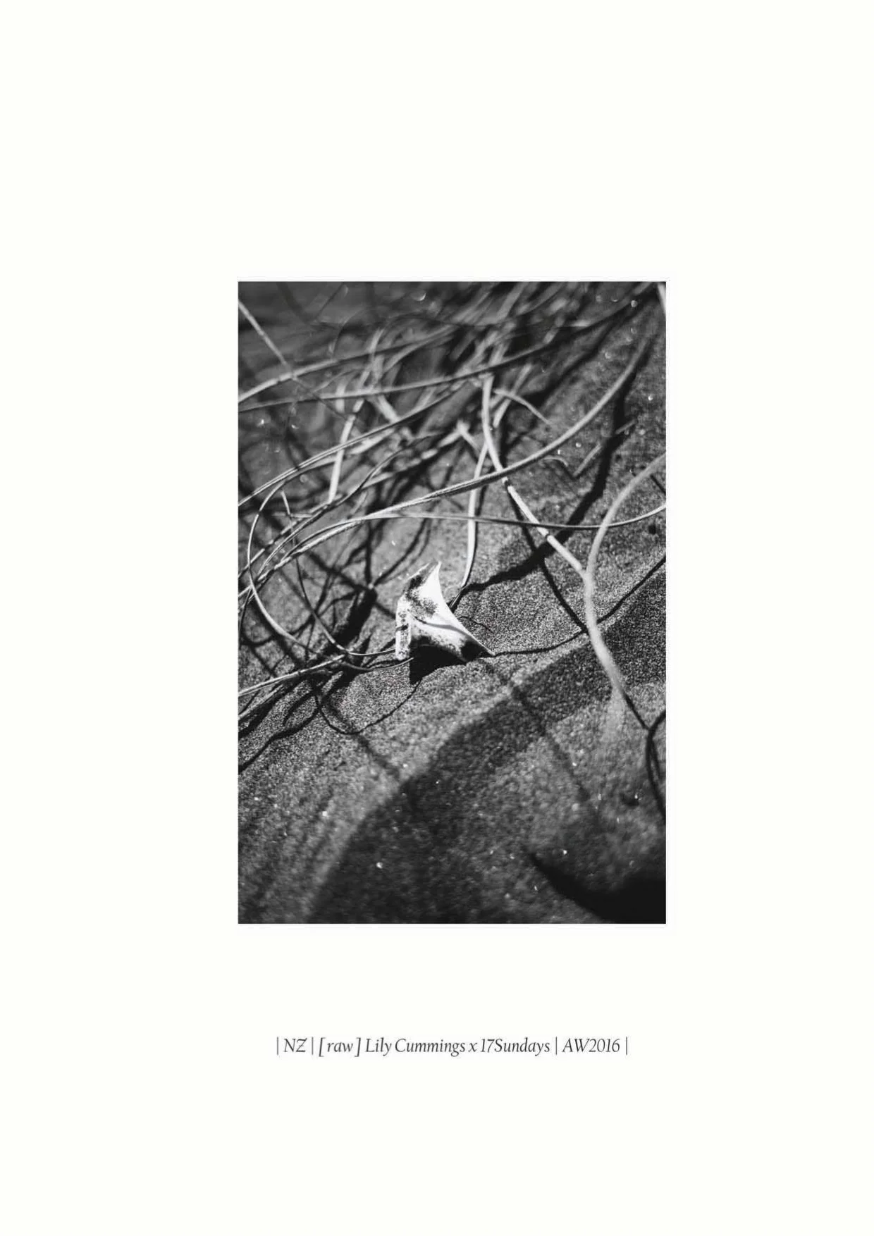 17_sundays_STICKS___STONES_AW2016 9.jpeg