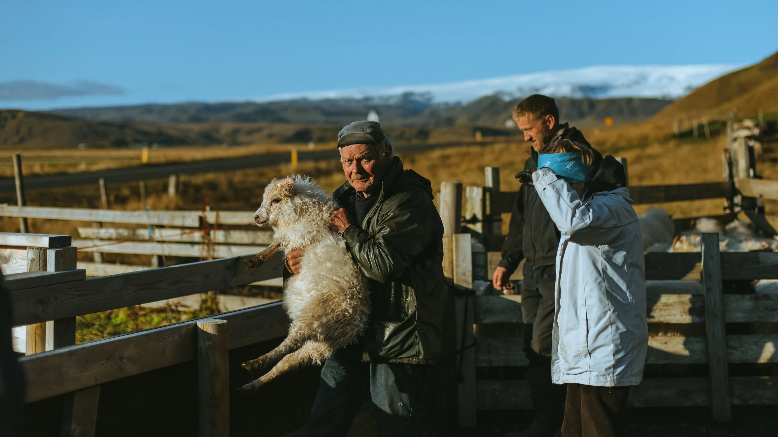 SheepFarm2-3138.jpg