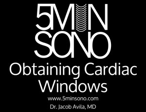 Obtaining_cardiac_Windows-300x229.jpg