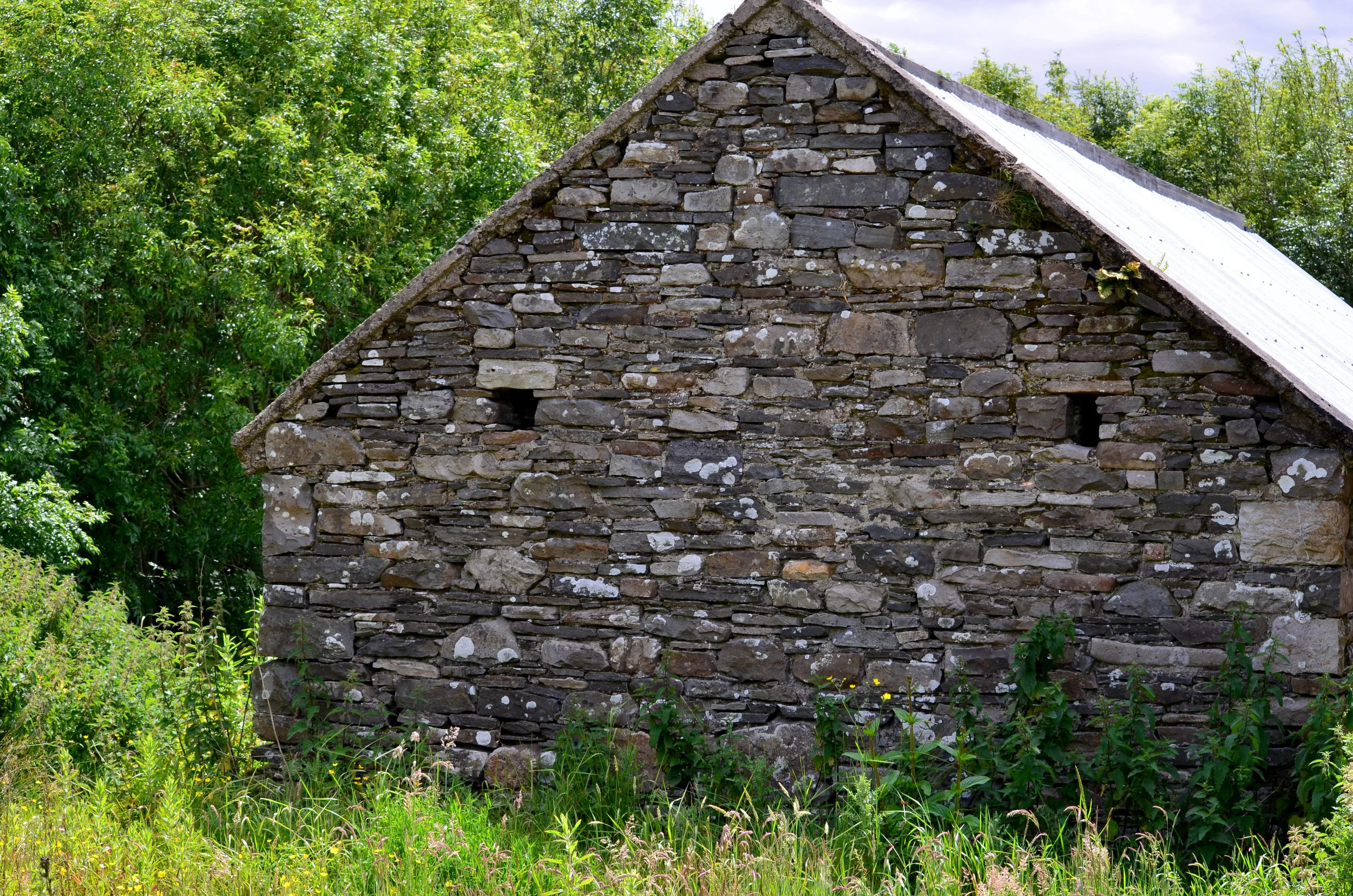 a fitzmaurice barn.jpg