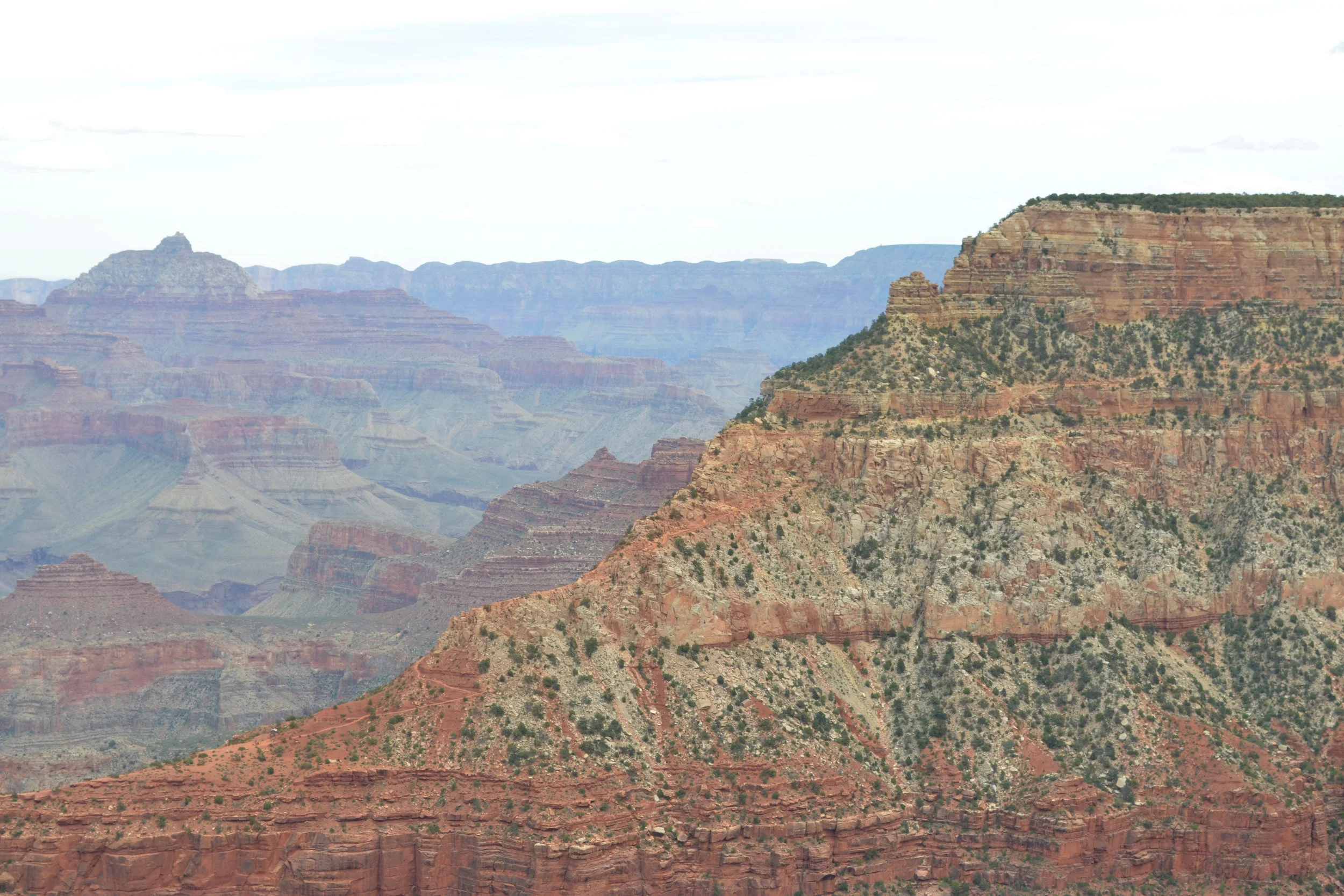 DSC_0524a.jpg