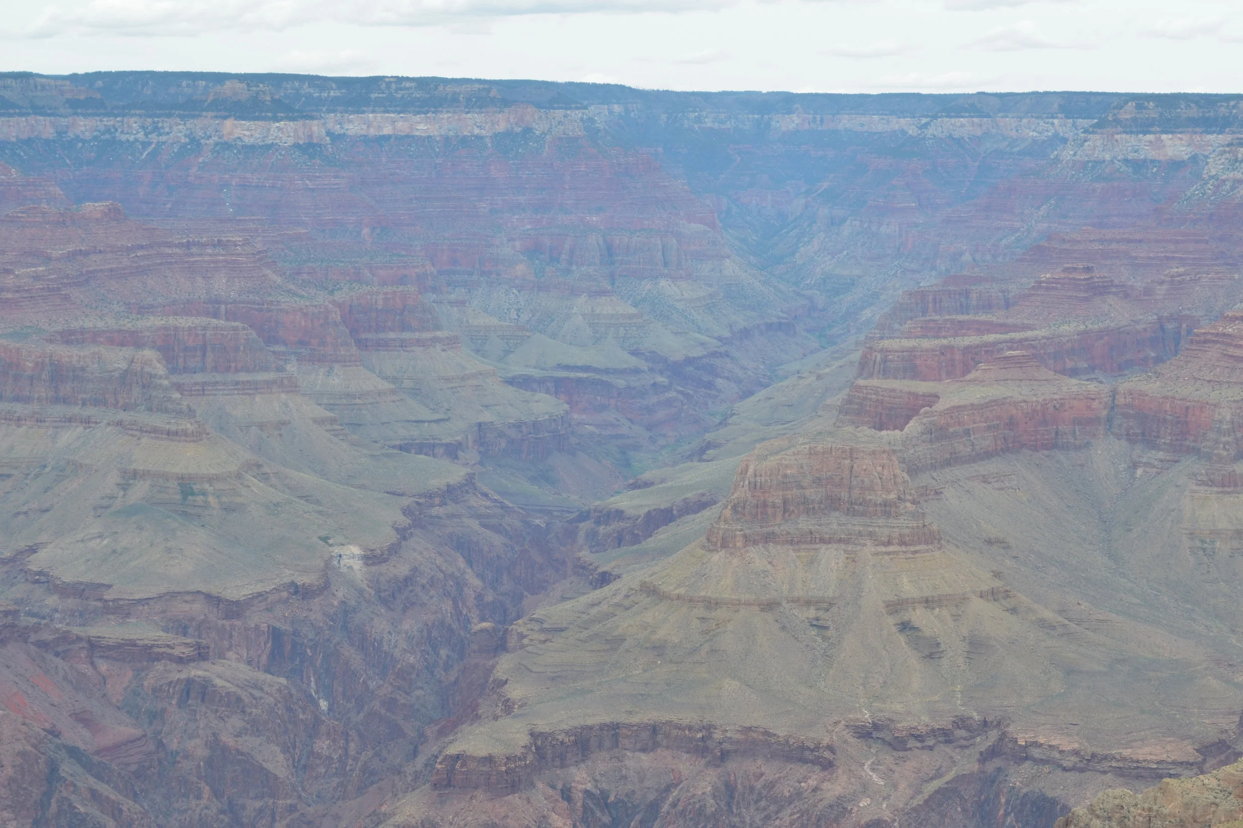 DSC_0535a.jpg