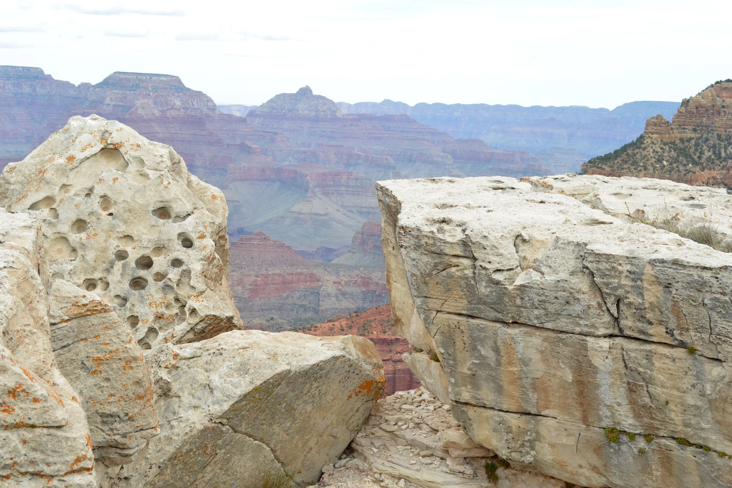 DSC_0532a.jpg