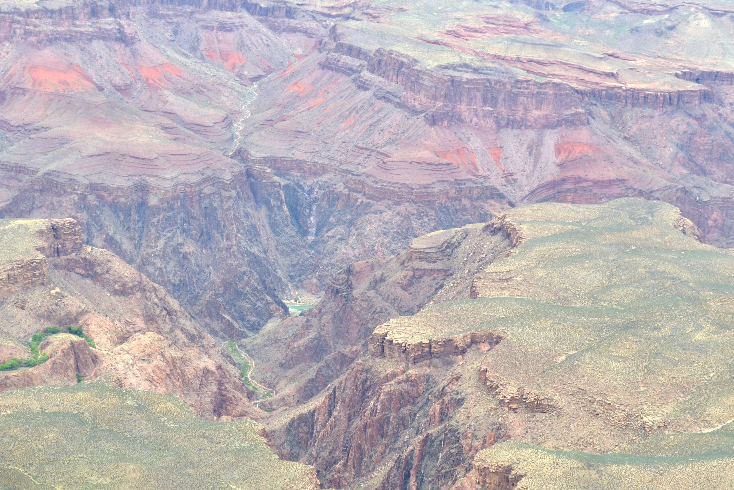 DSC_0542a.jpg