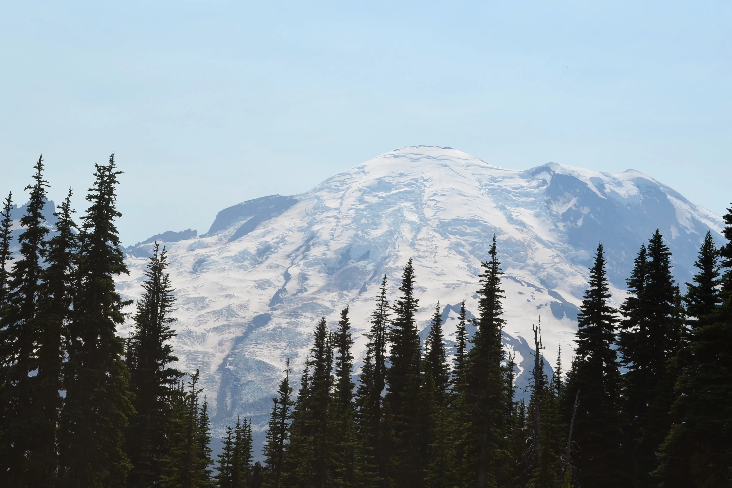 DSC_0290a.jpg