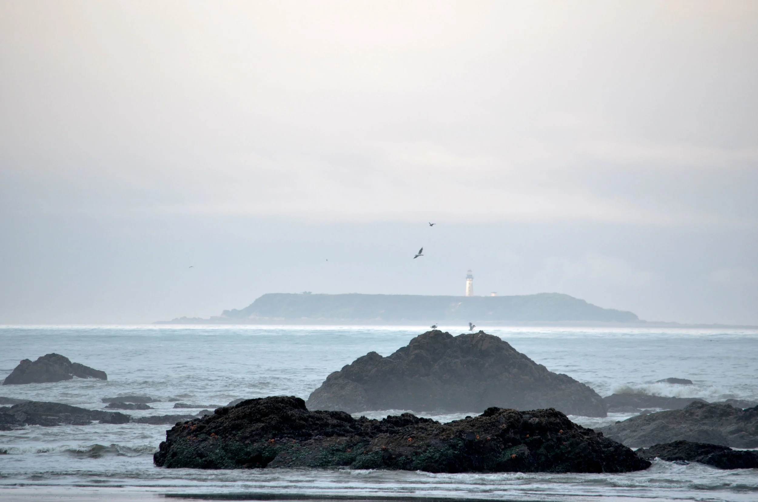 DSC_0482a.jpg