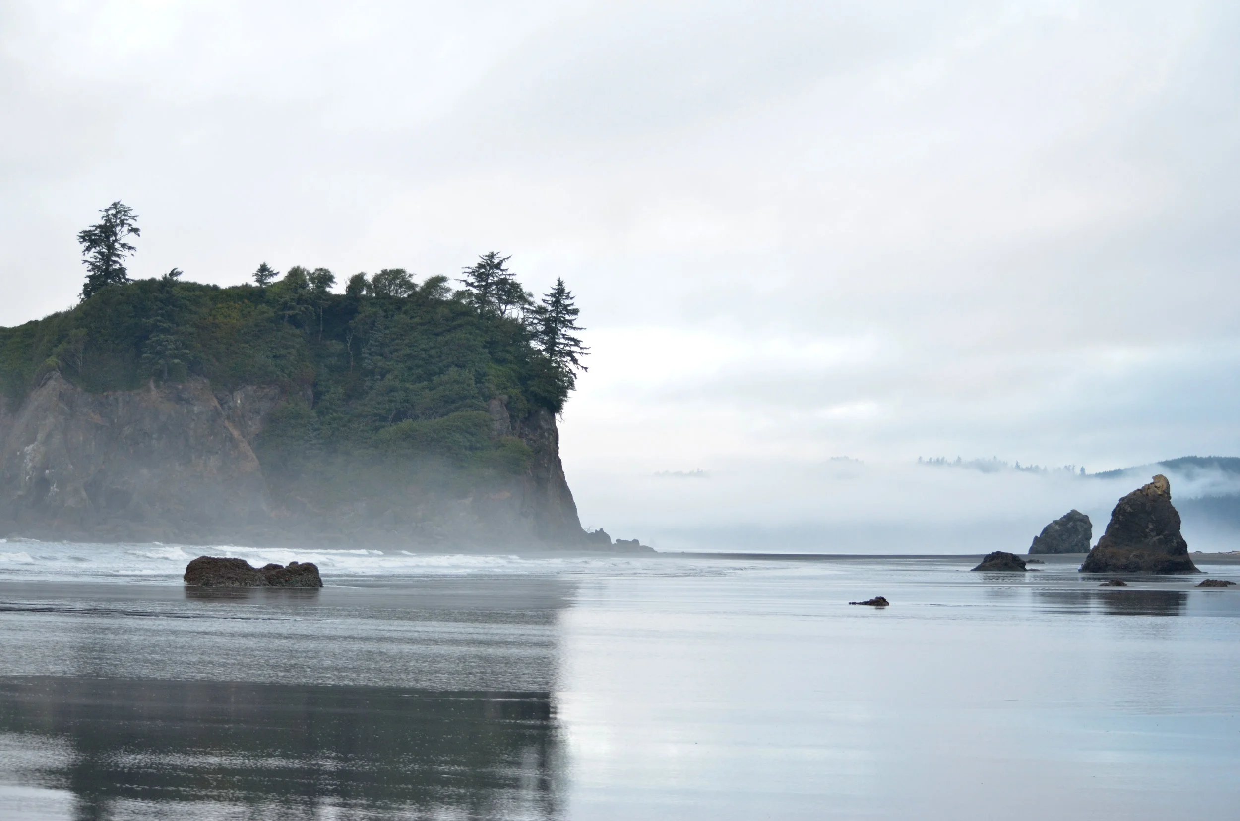 DSC_0490a.jpg
