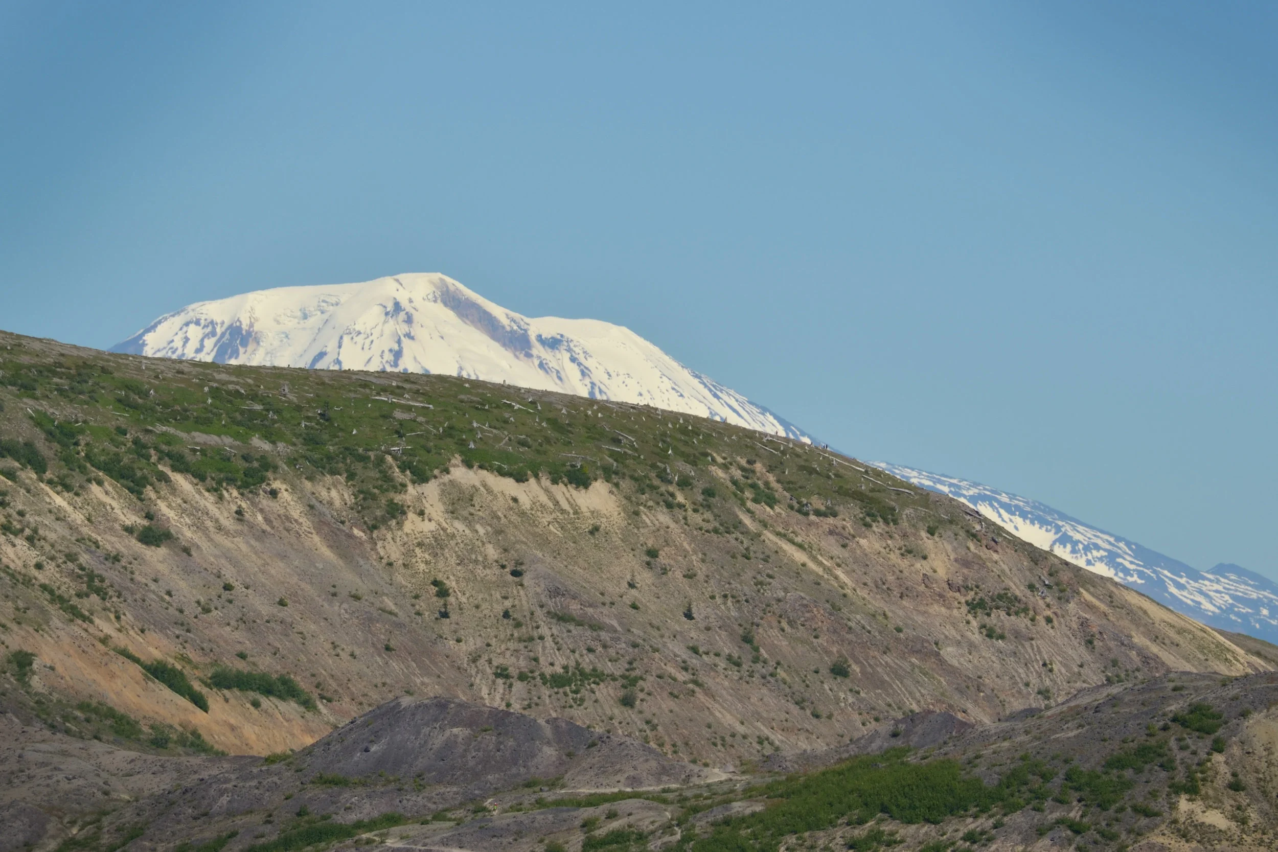 DSC_0211a.jpg