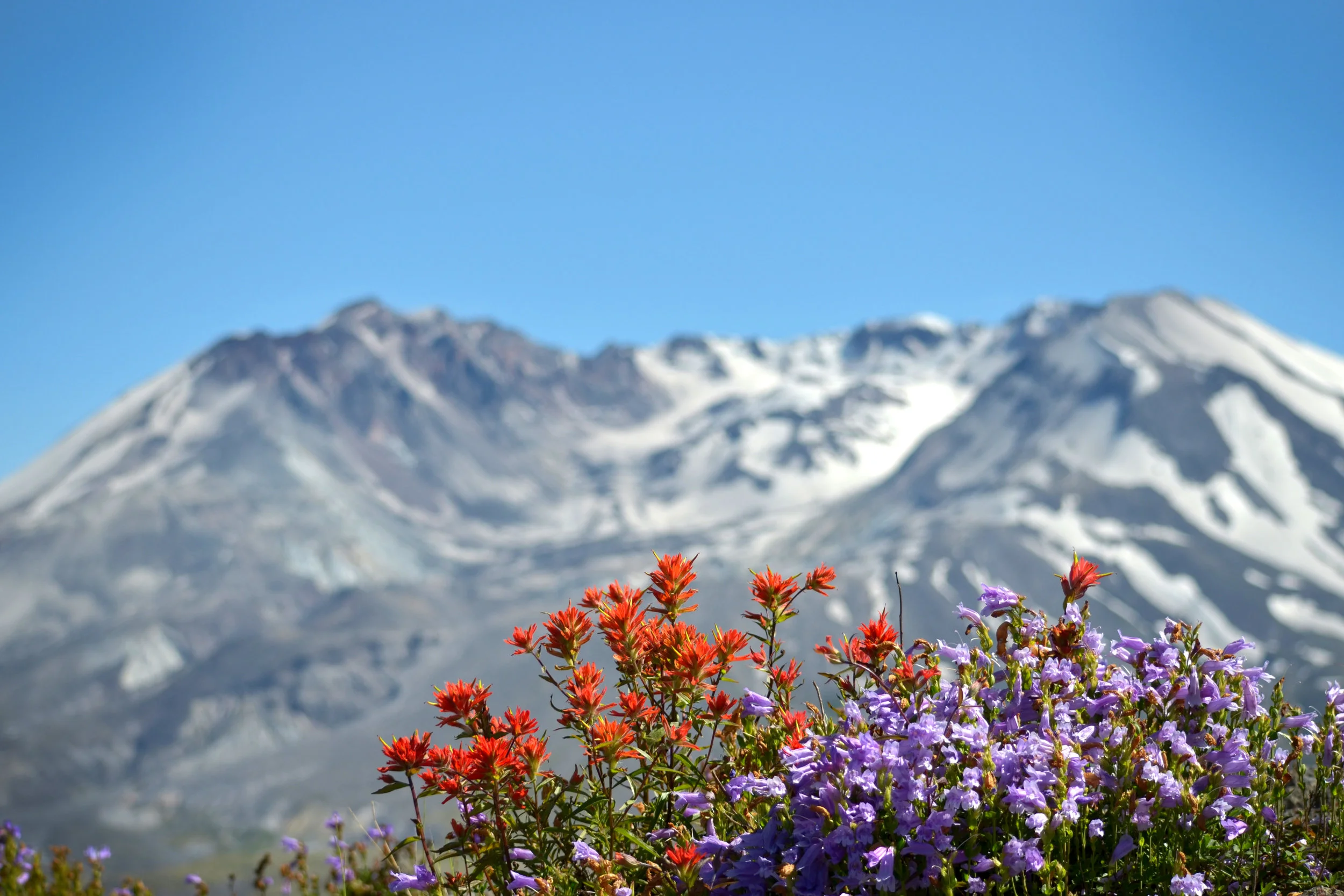 DSC_0218a.jpg