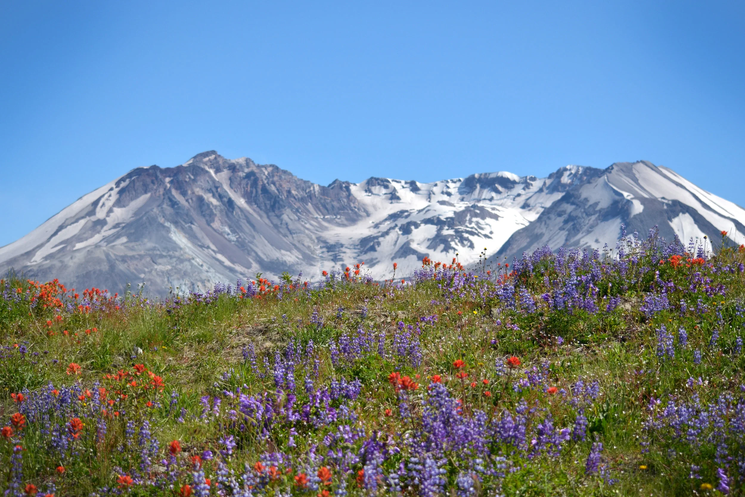 DSC_0220a.jpg