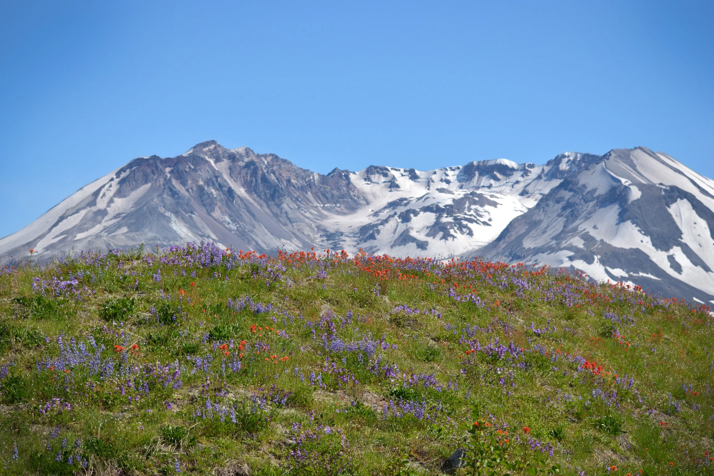 DSC_0219a.jpg