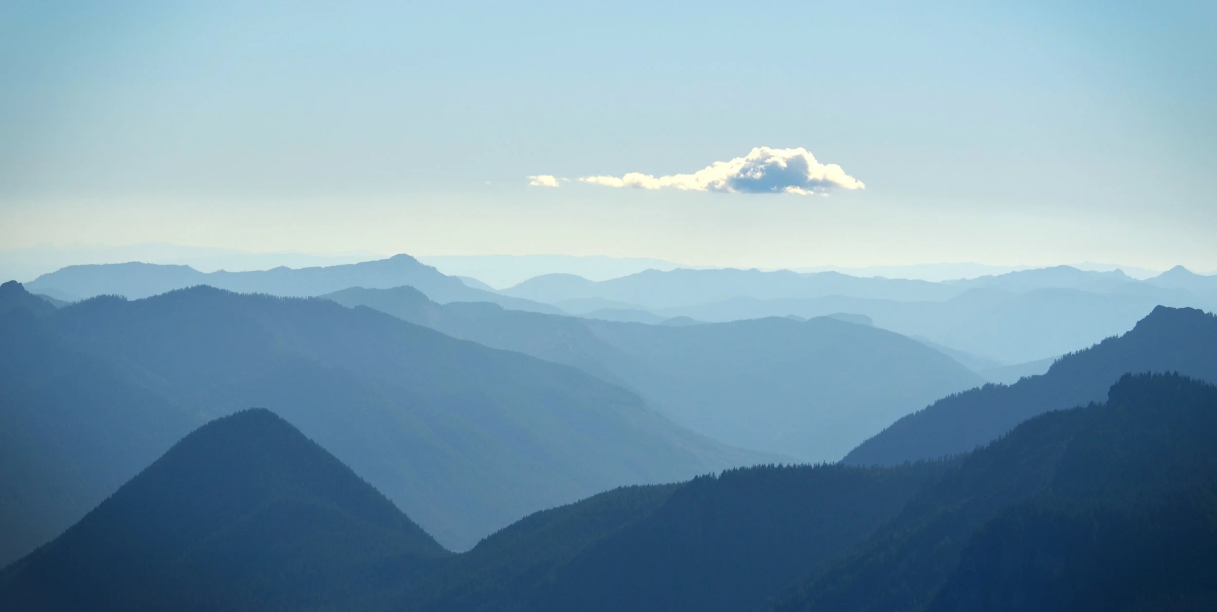 DSC_0074a.jpg