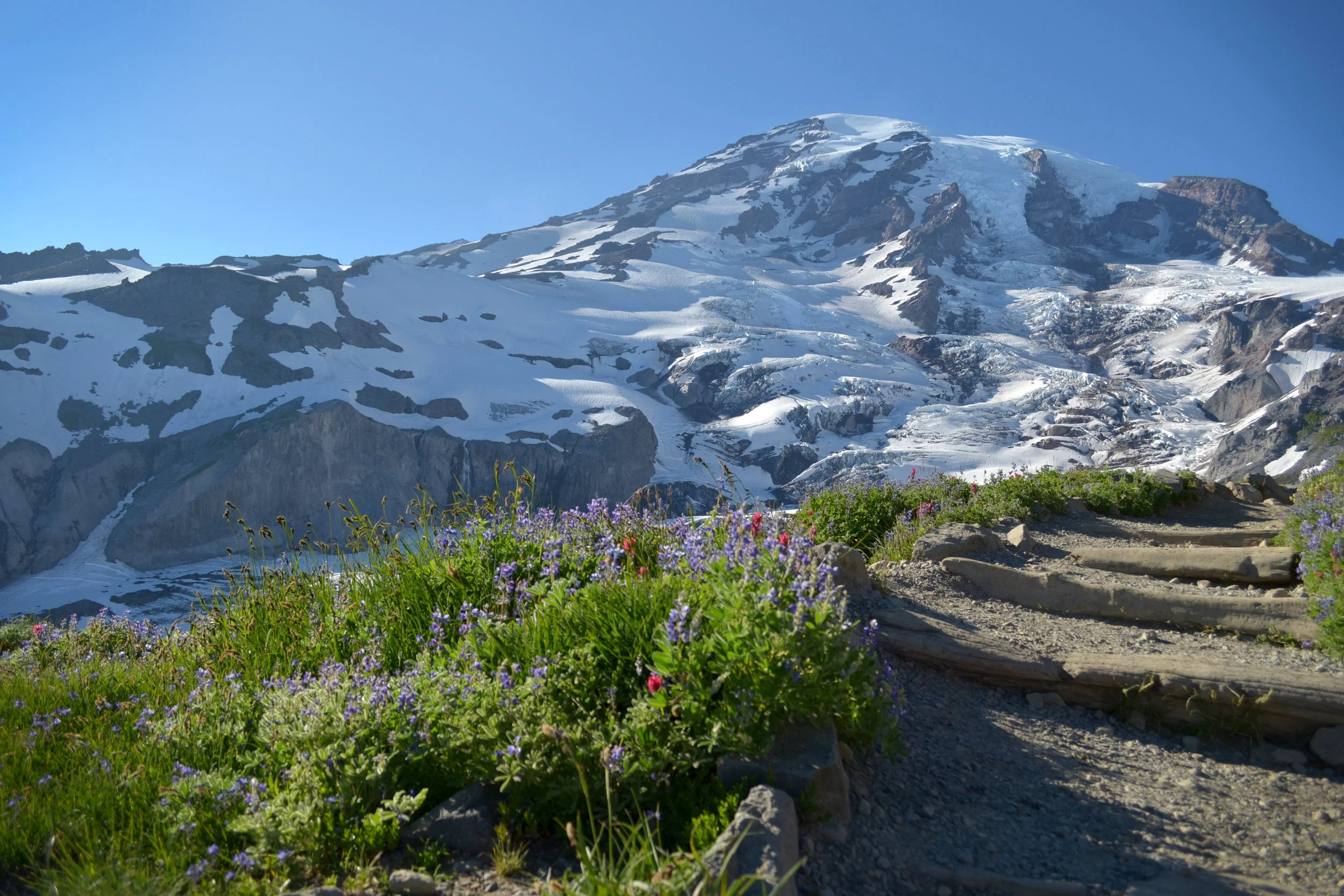 DSC_0087a.jpg