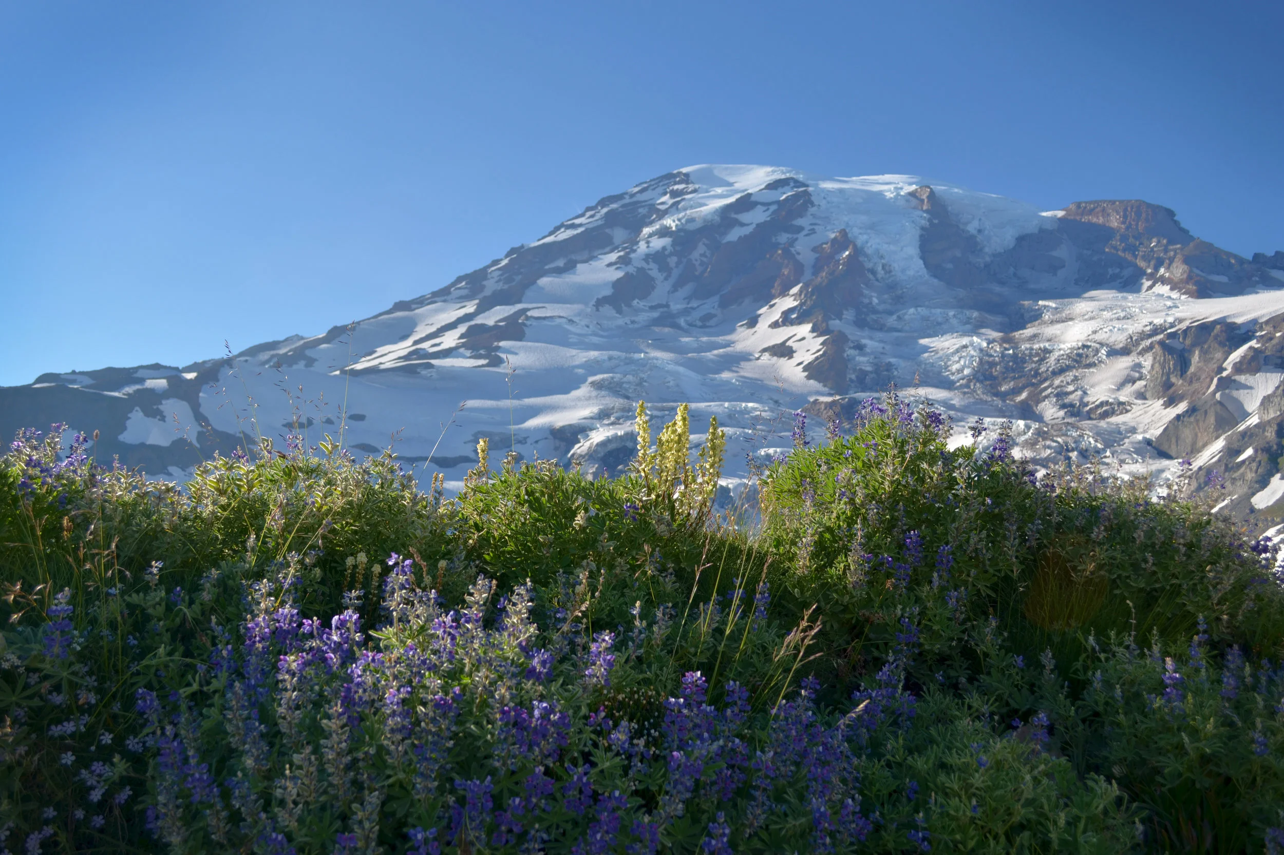 DSC_0090a.jpg