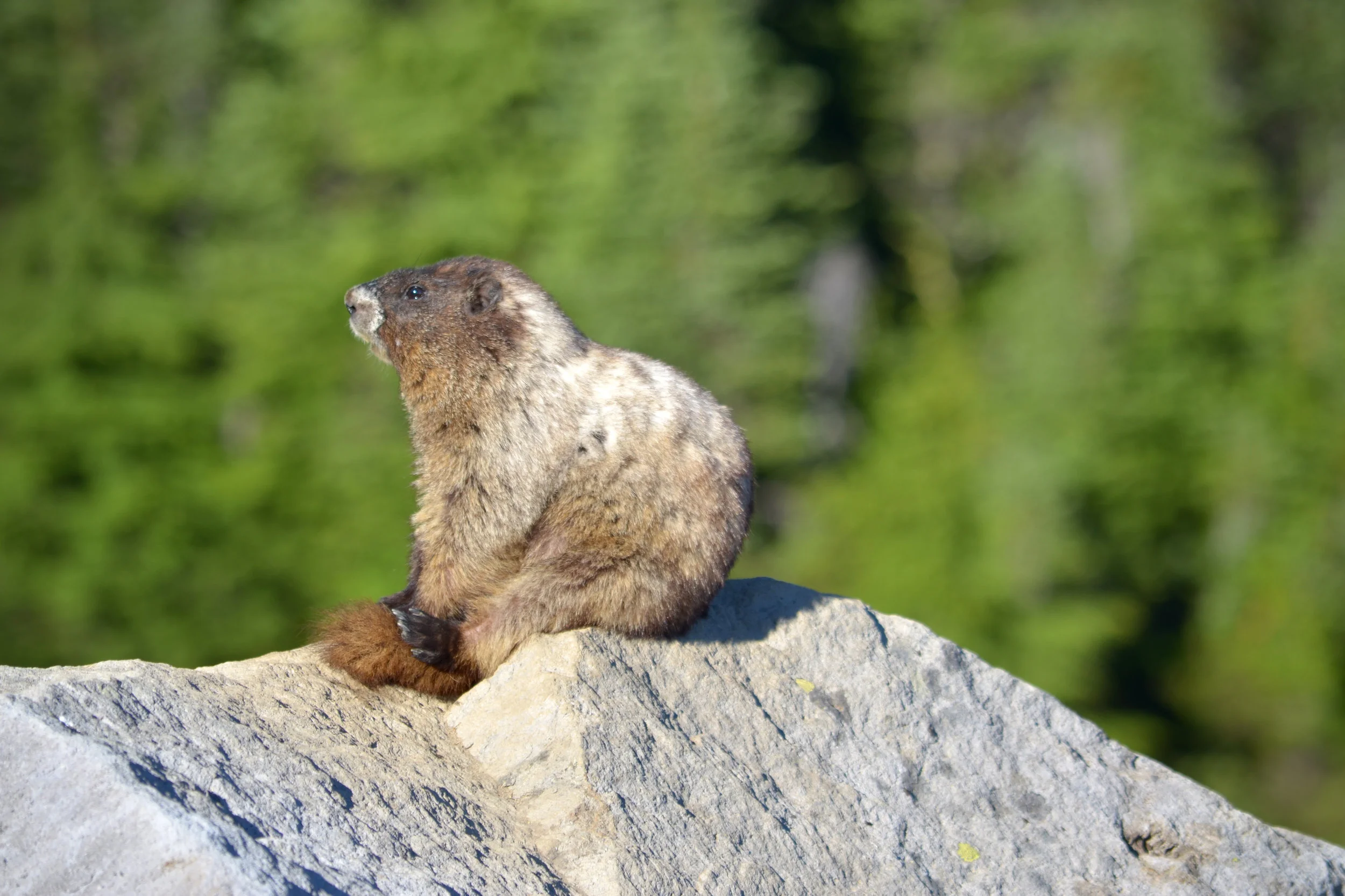 DSC_0128a.jpg