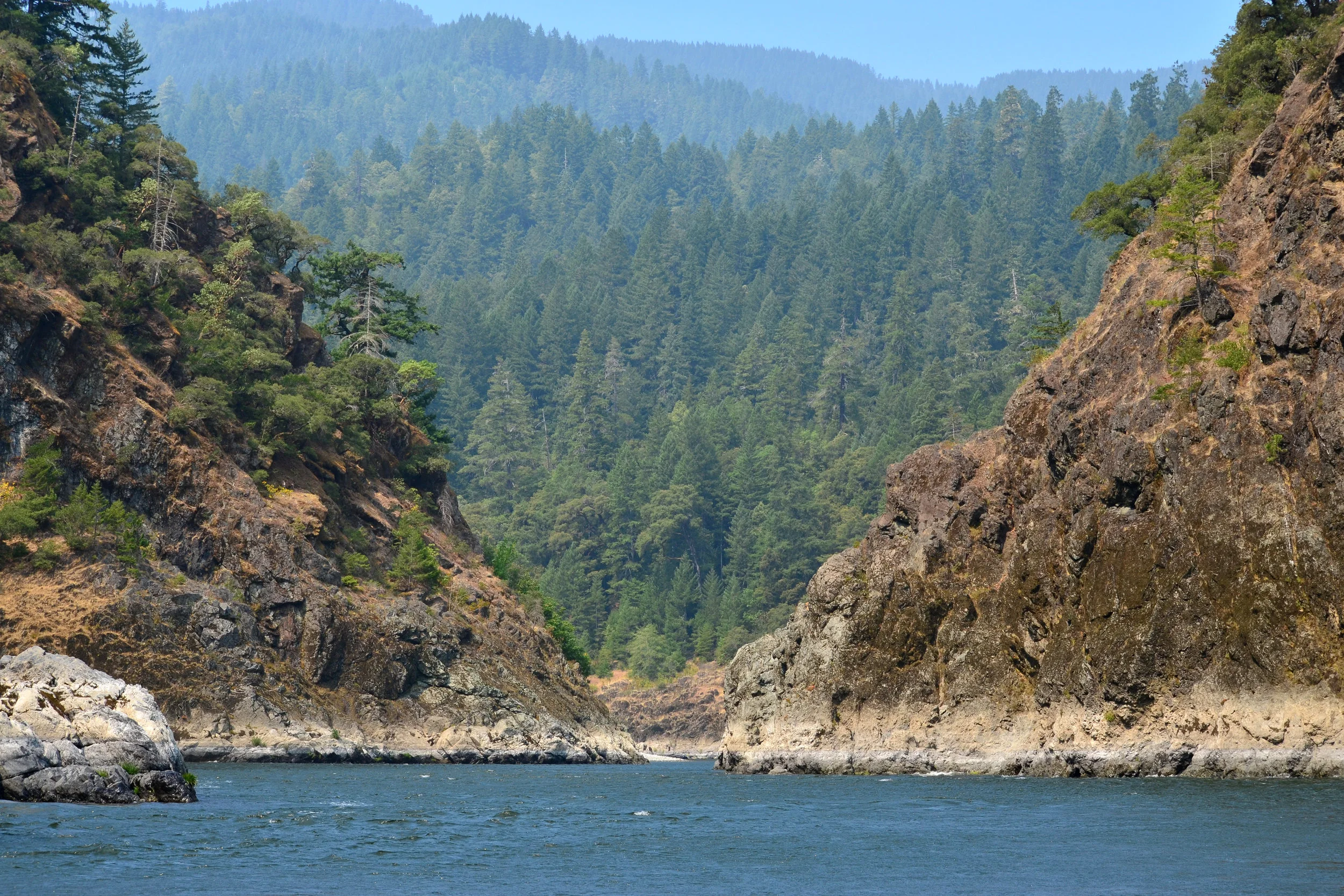 DSC_0403a.jpg
