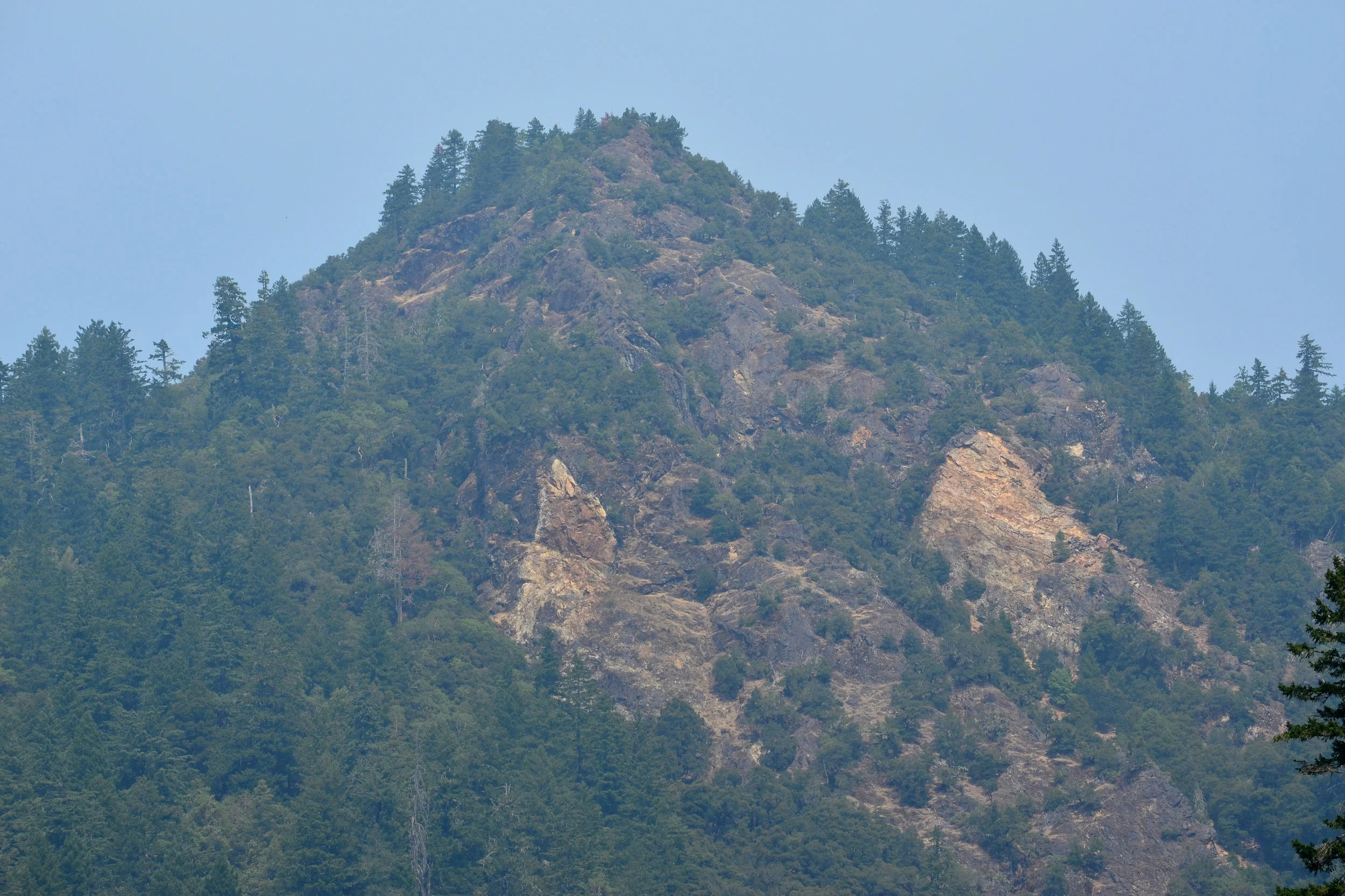 DSC_0431a.jpg