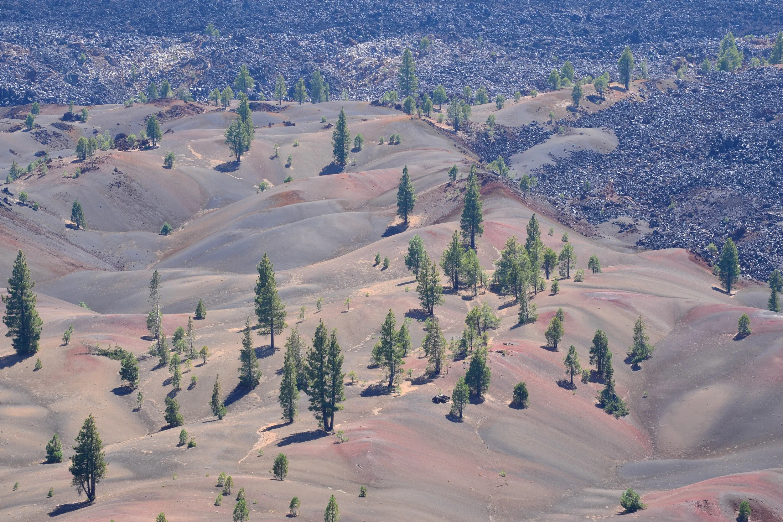 DSC_0649a.jpg