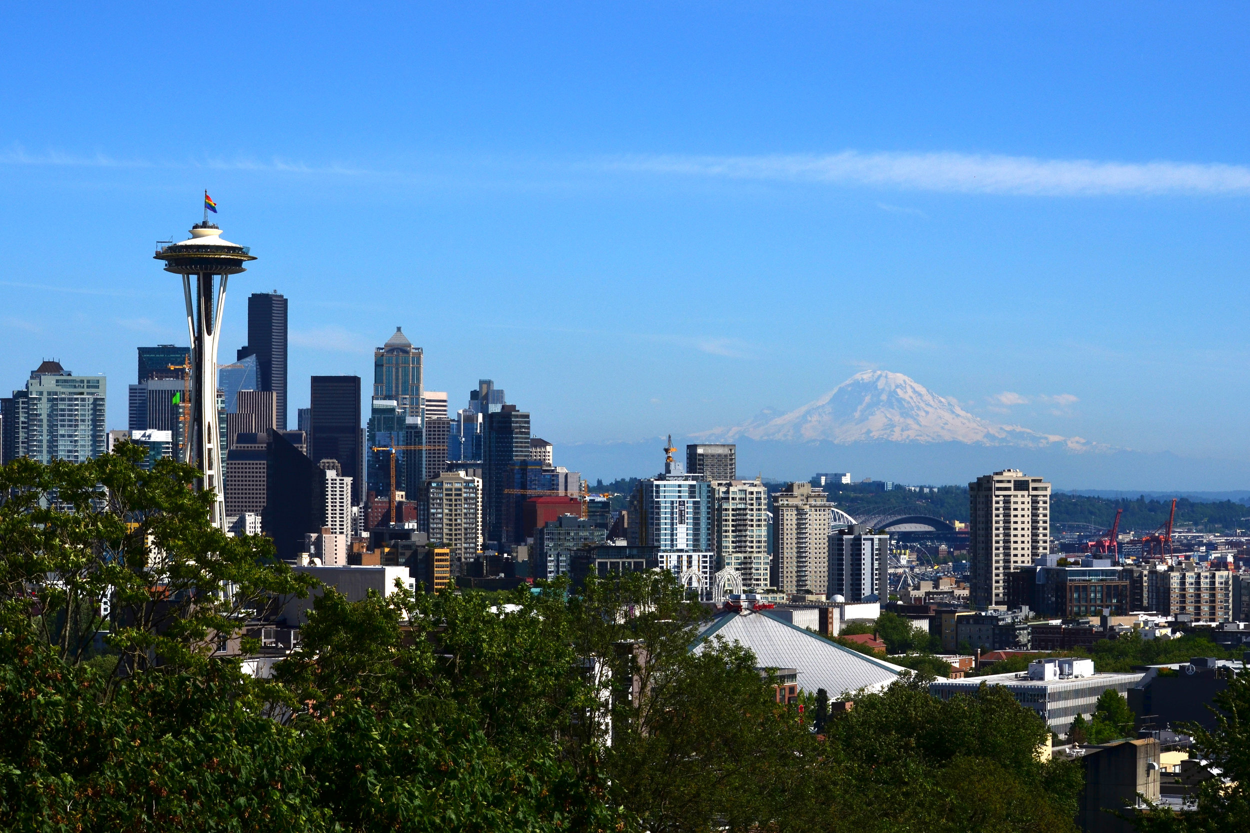 DSC_0756a.jpg