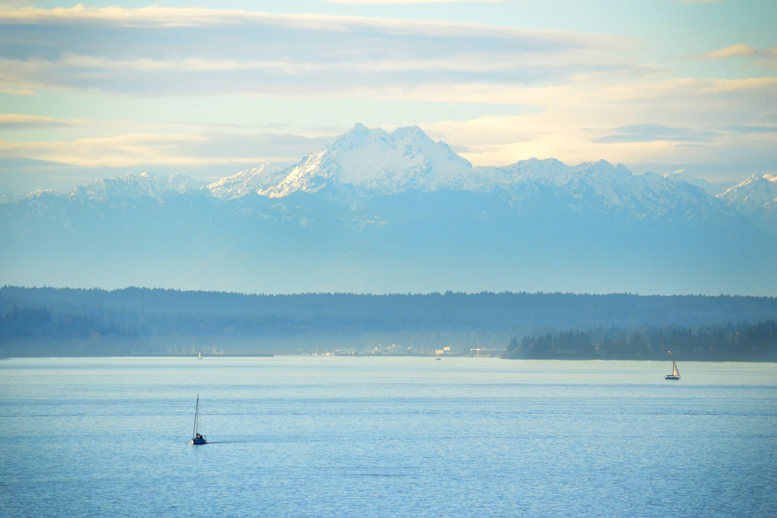 DSC_1149a.jpg