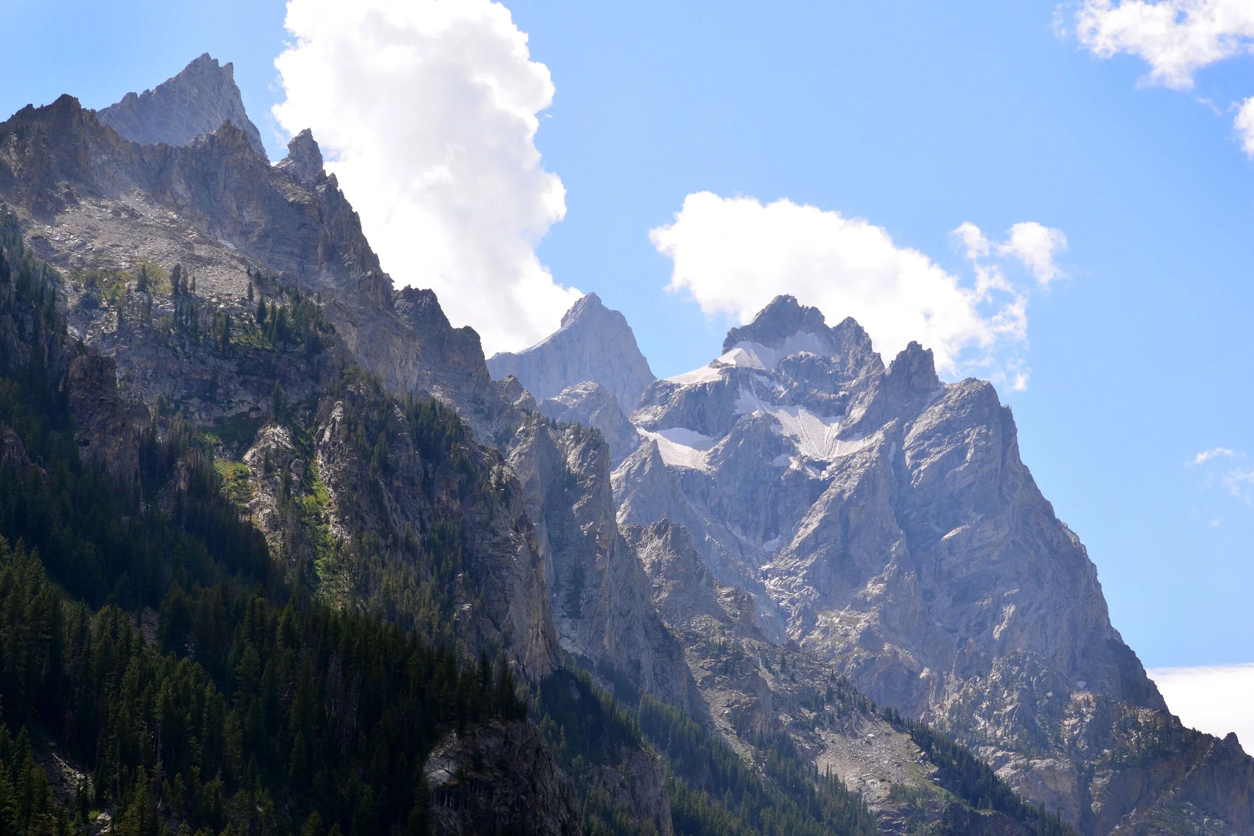 DSC_1599a.jpg