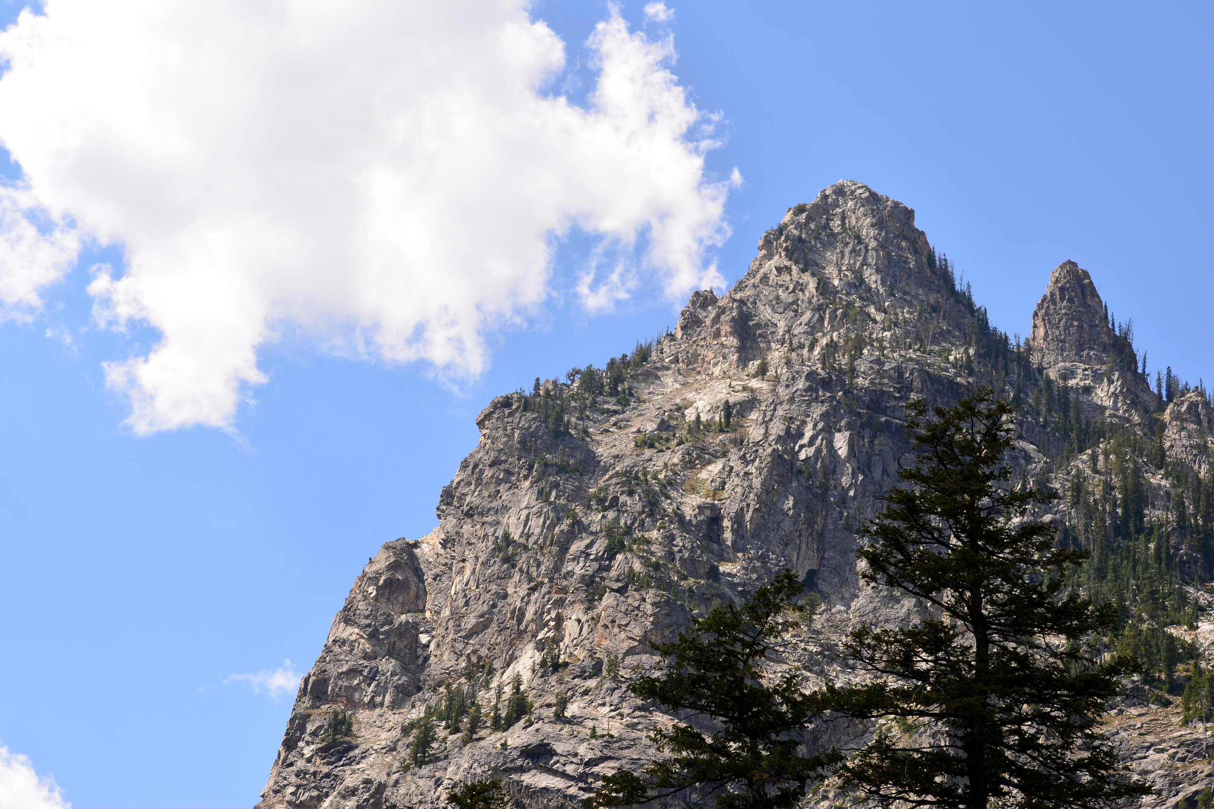 DSC_1601a.jpg