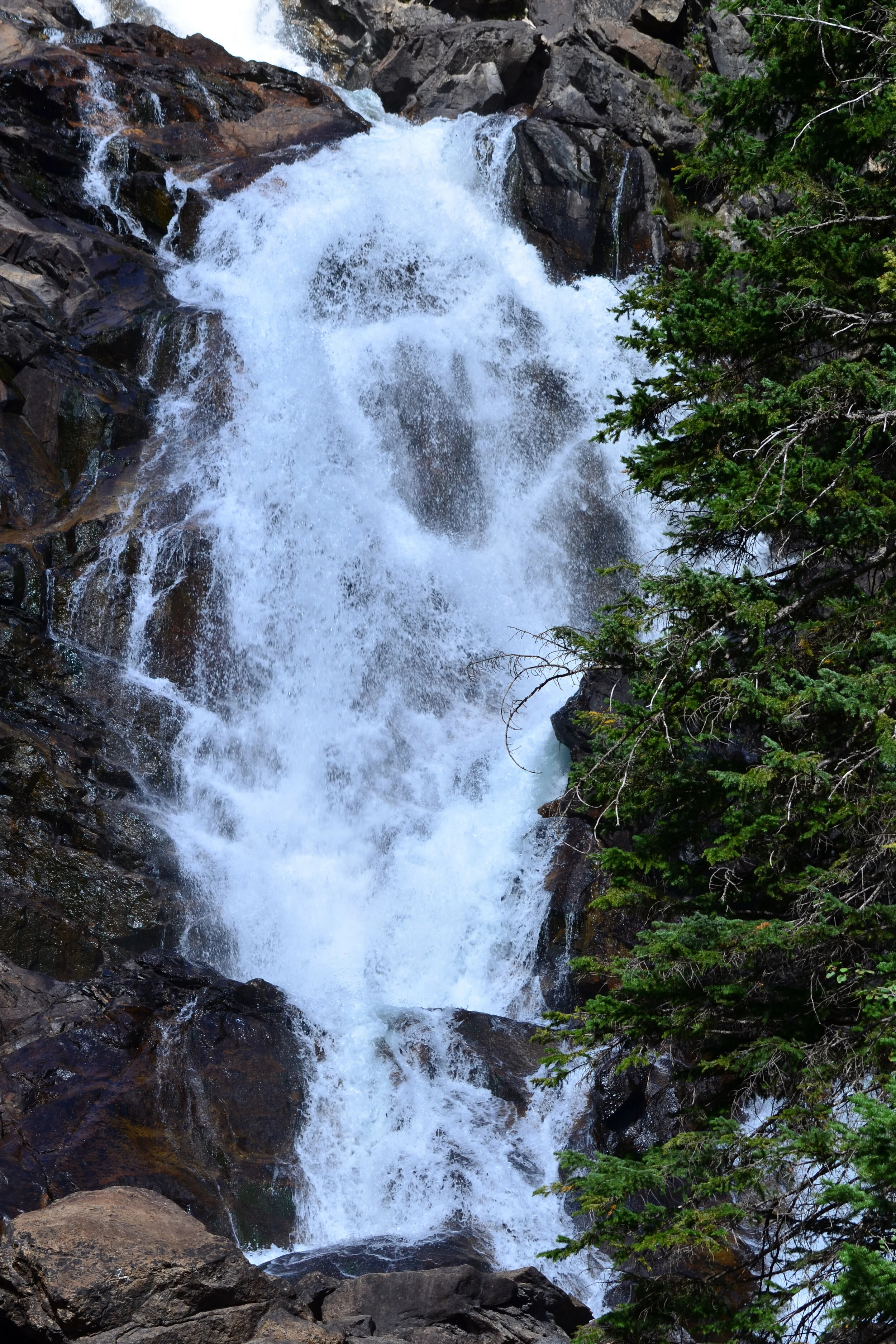 DSC_1589a.jpg