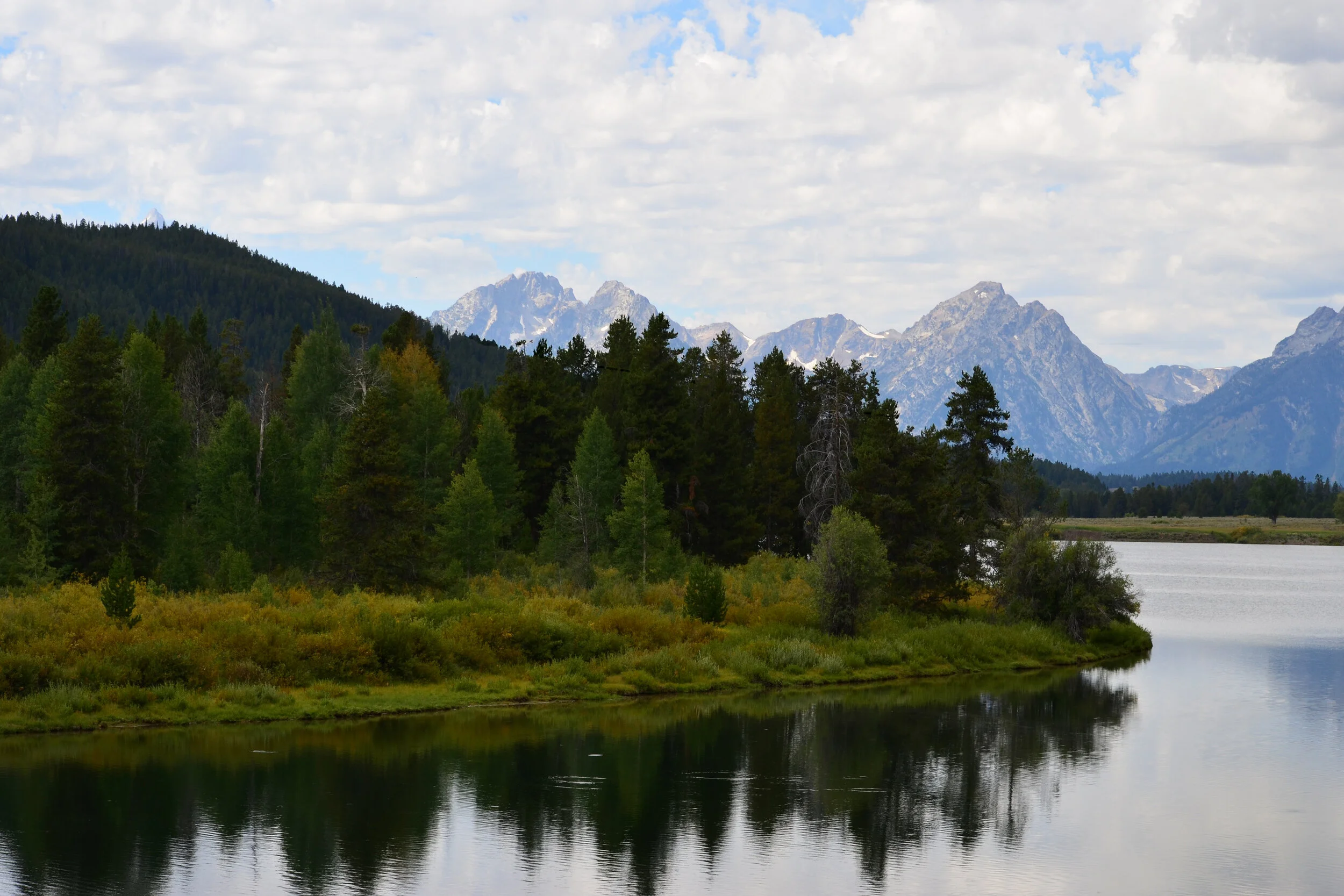 DSC_1585a.jpg