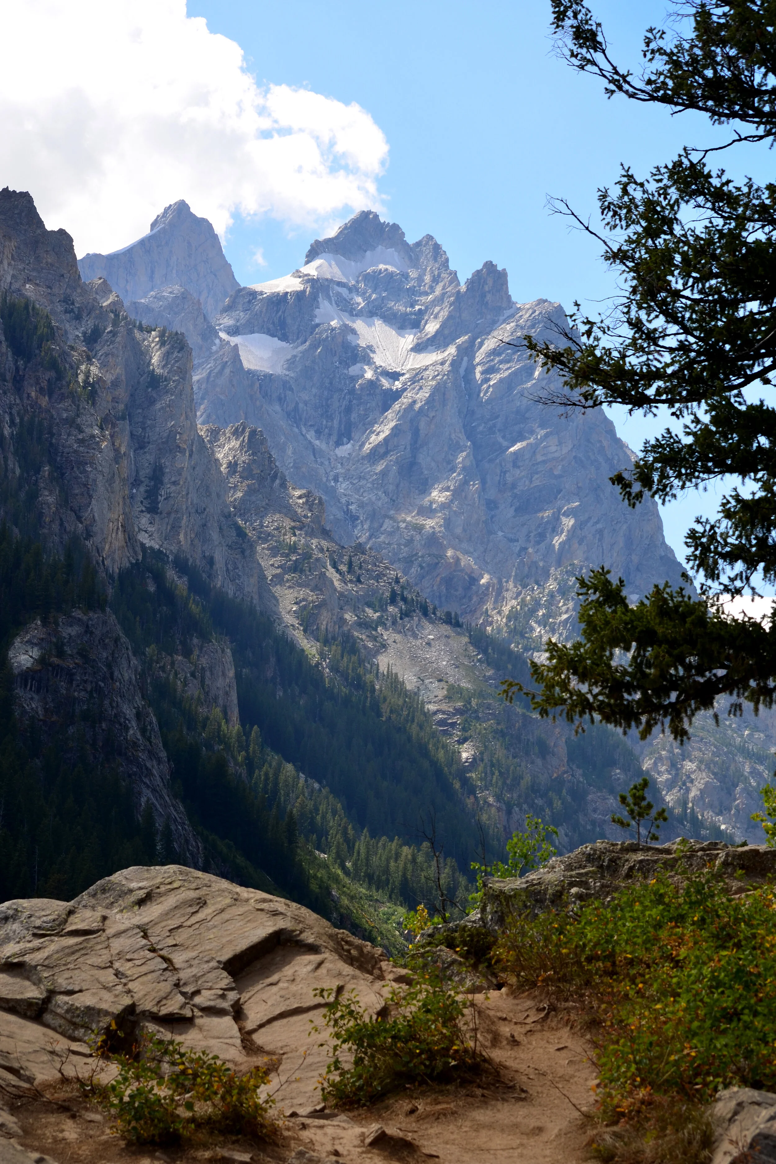 DSC_1594a.jpg