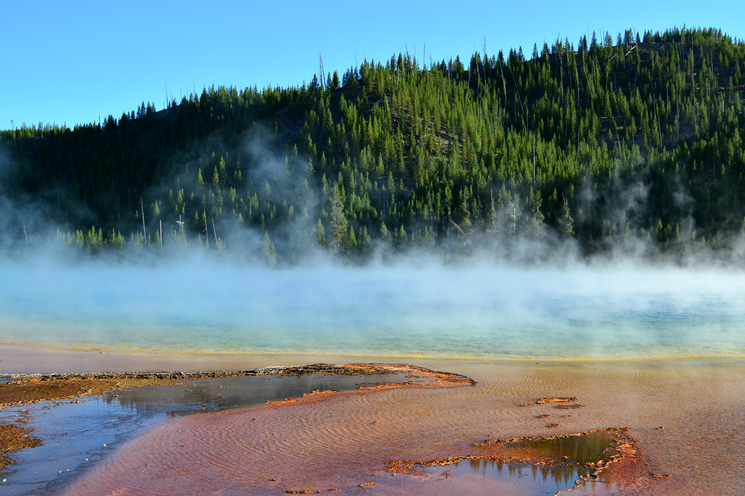 DSC_1380a.jpg