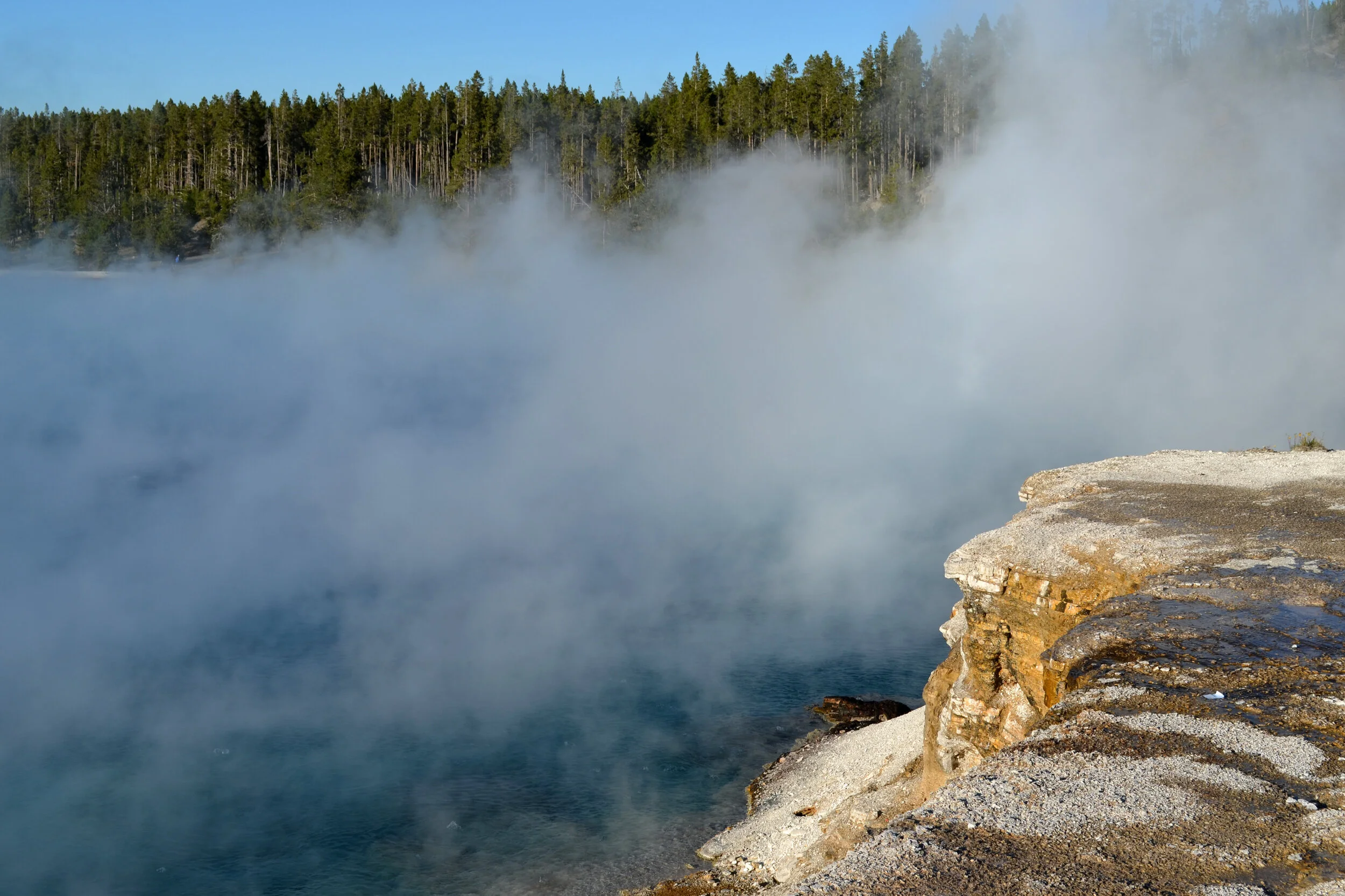 DSC_1374a.jpg