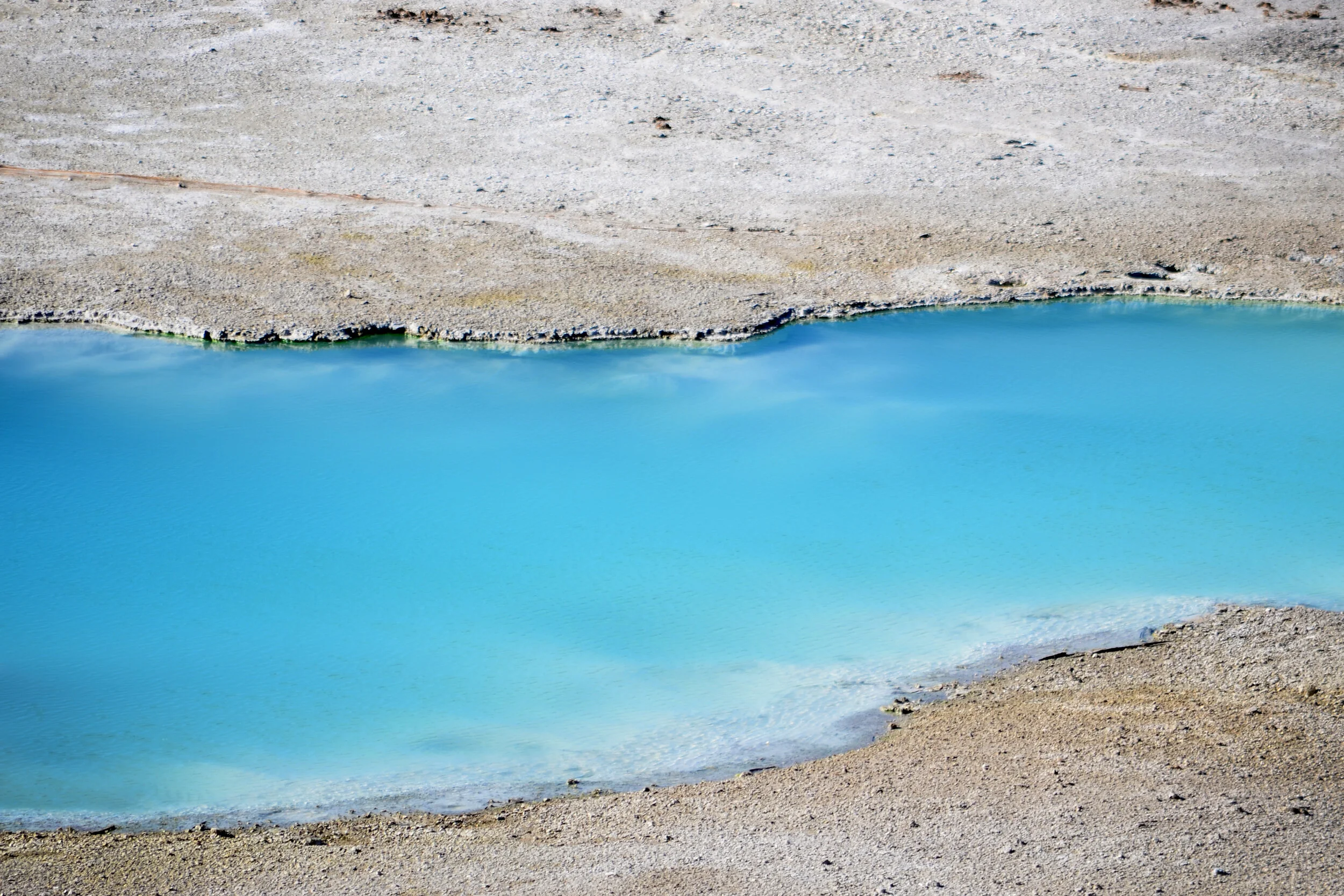 DSC_1356a.jpg