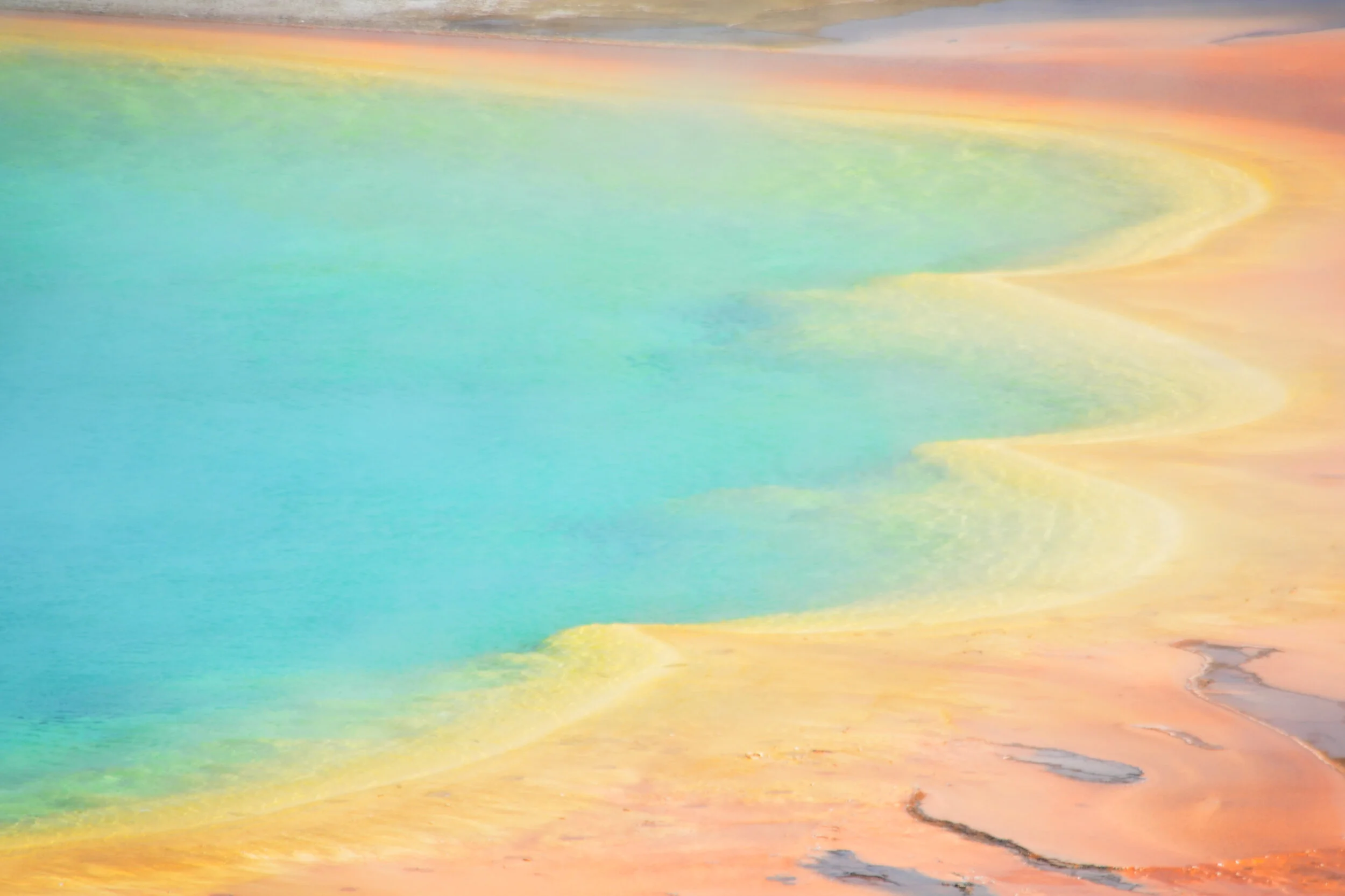 DSC_1539a.jpg