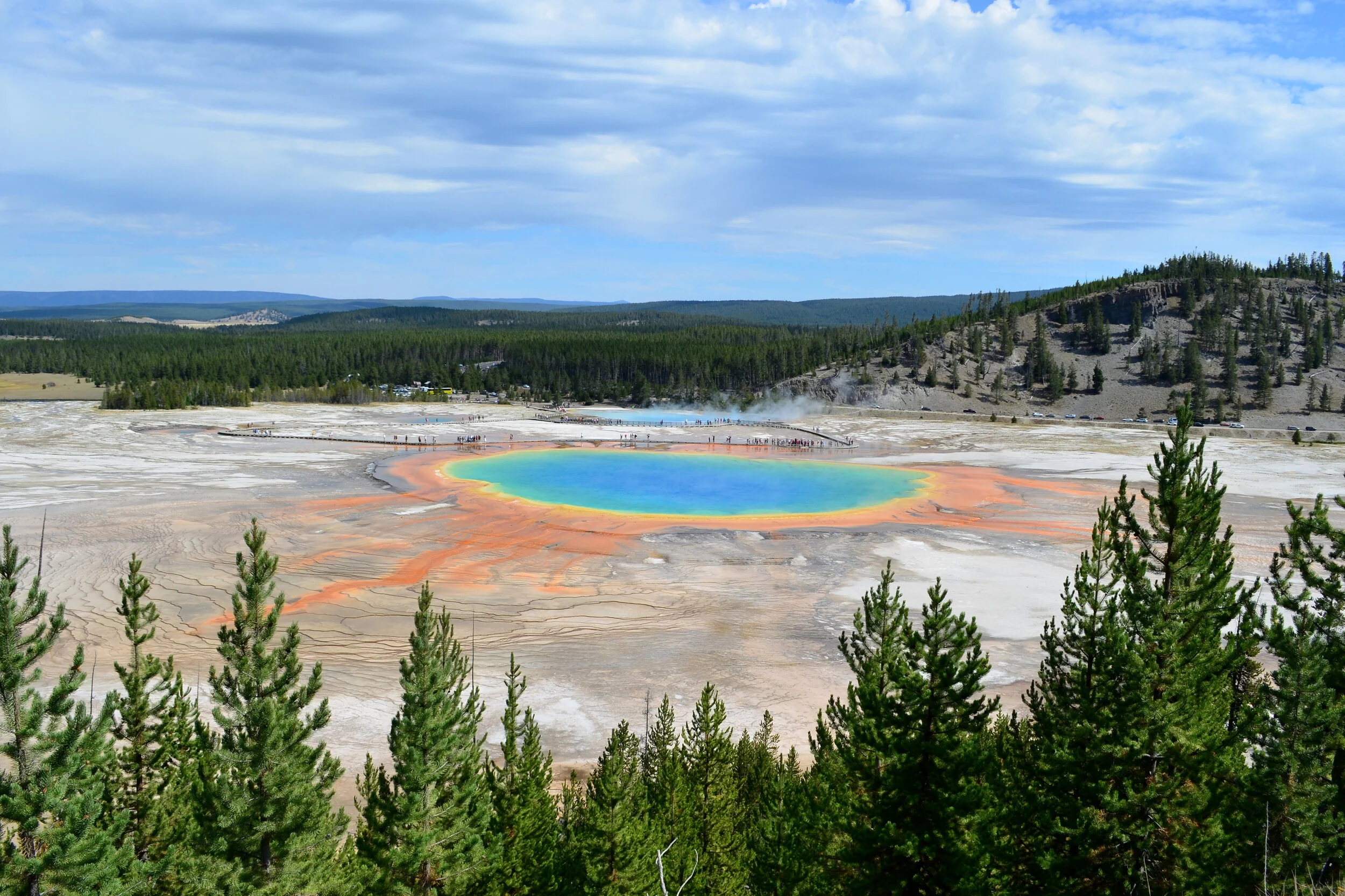 DSC_1519a.jpg