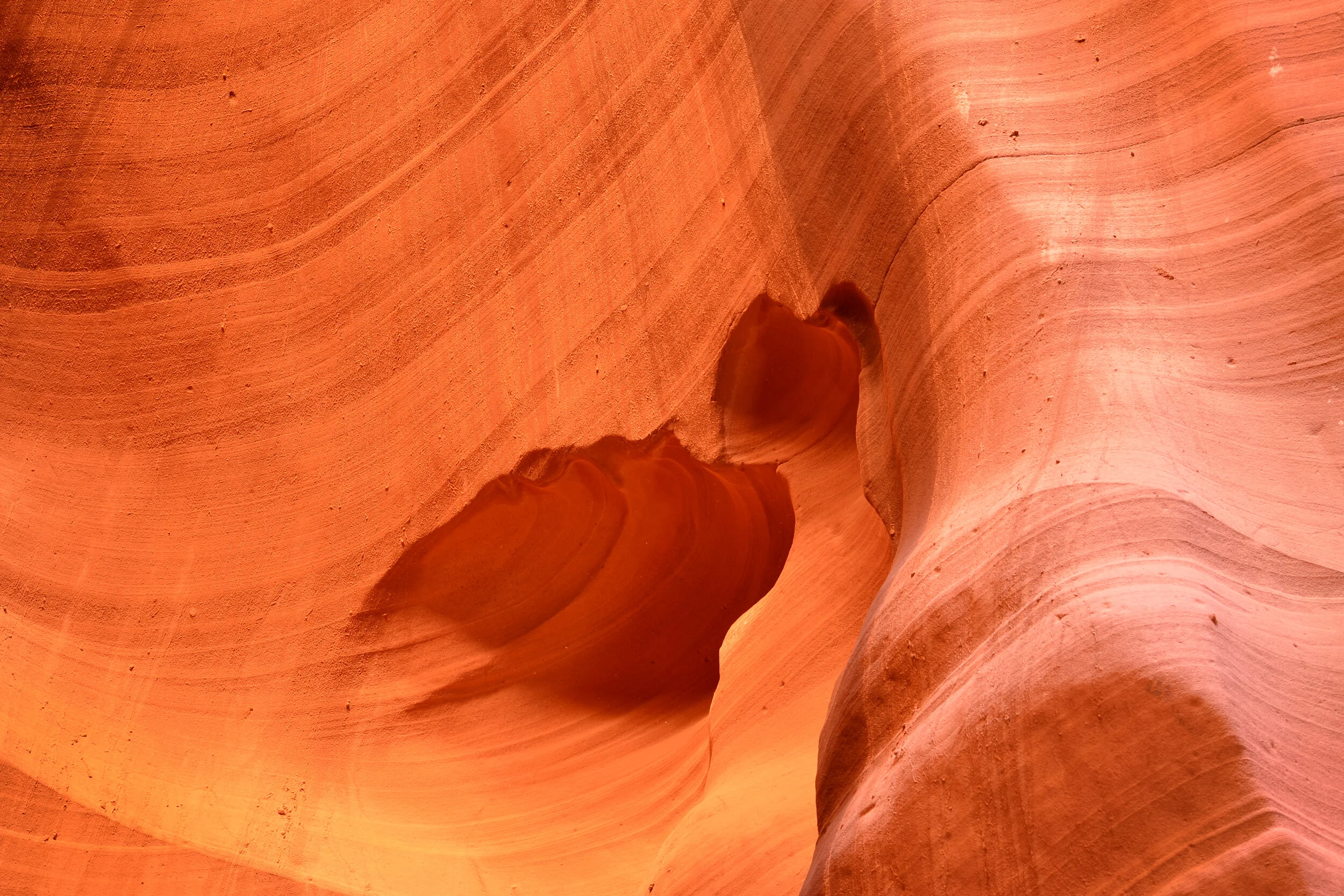 DSC_0304a.jpg