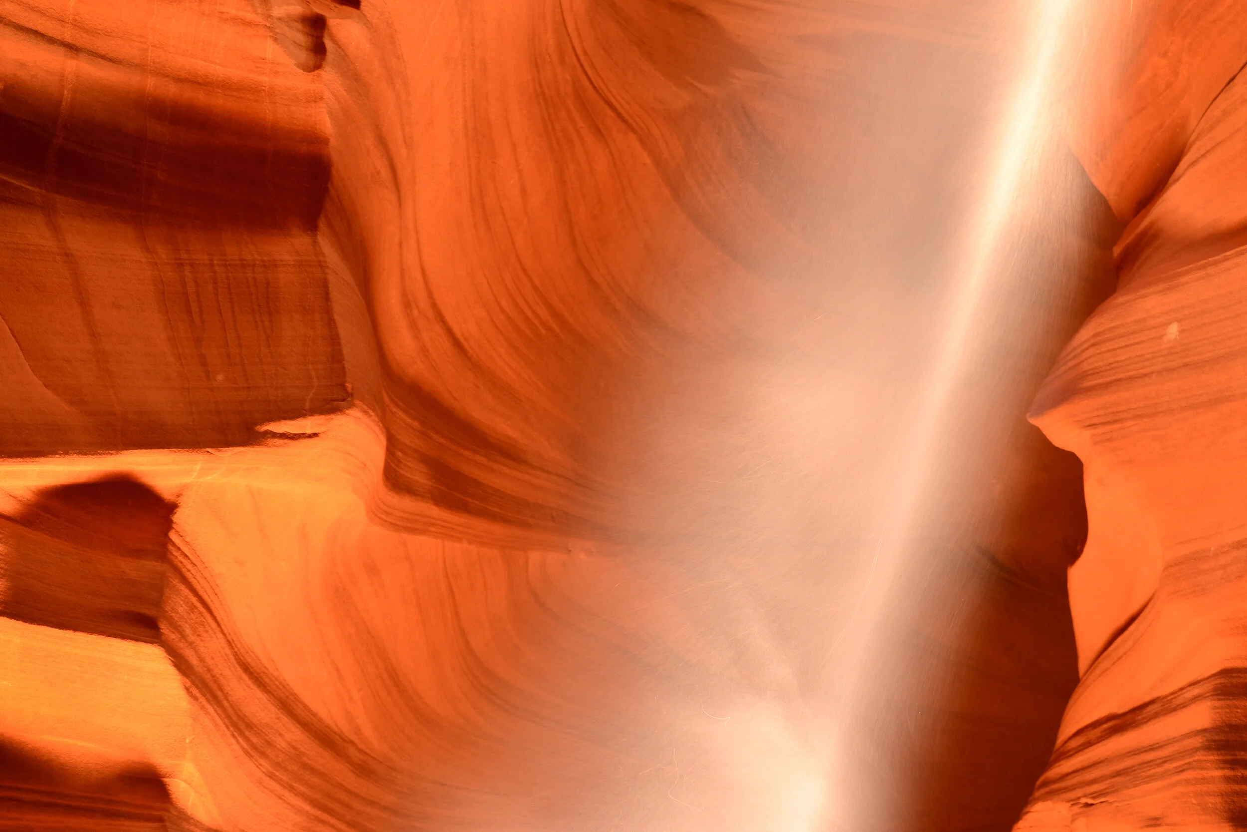DSC_0288a.jpg