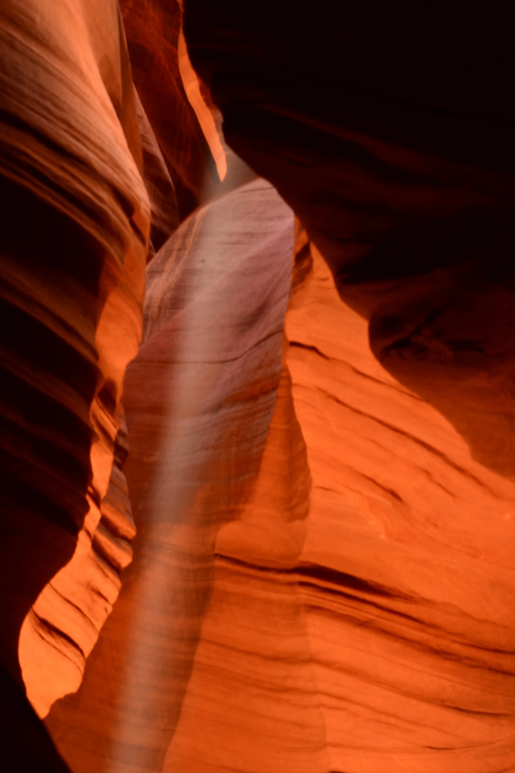 DSC_0280a.jpg