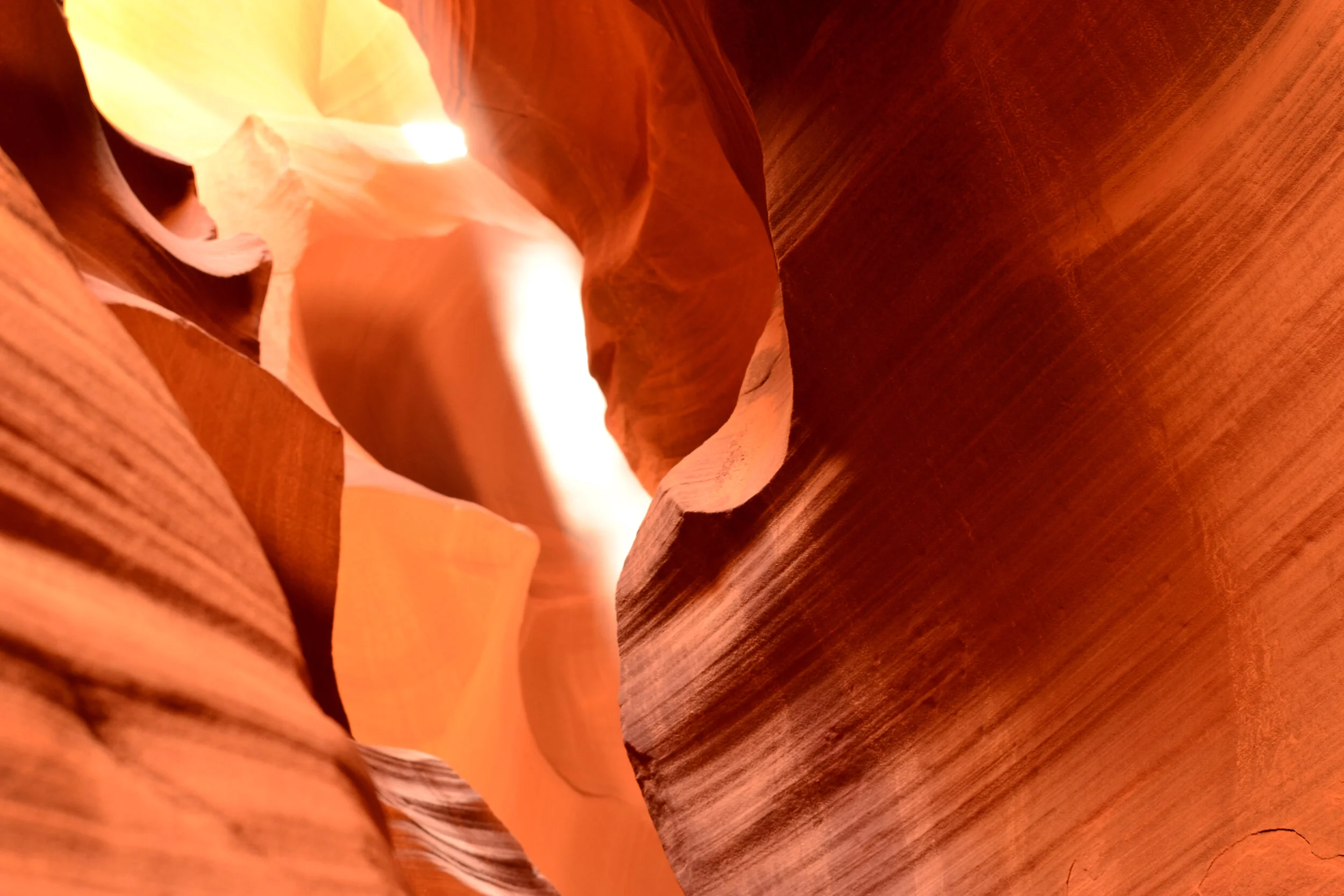 DSC_0261a.jpg