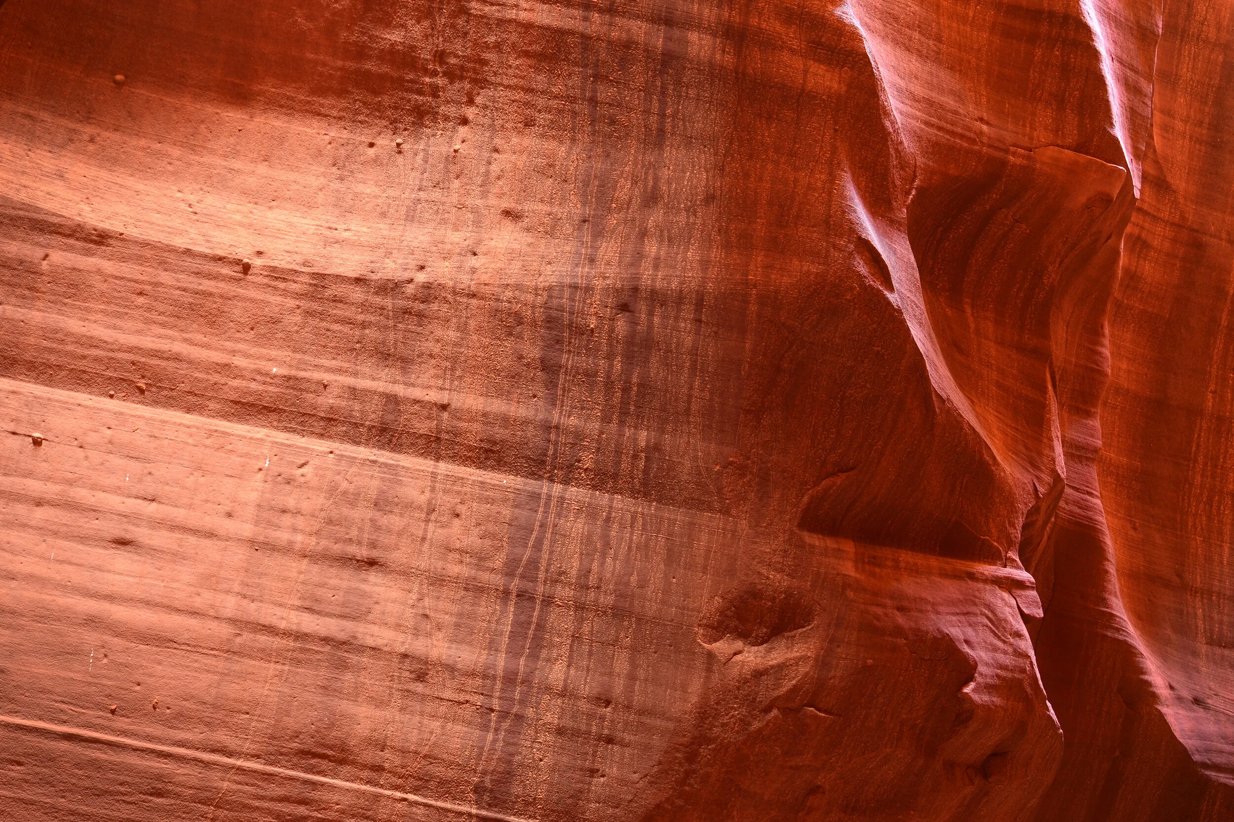 DSC_0181a.jpg