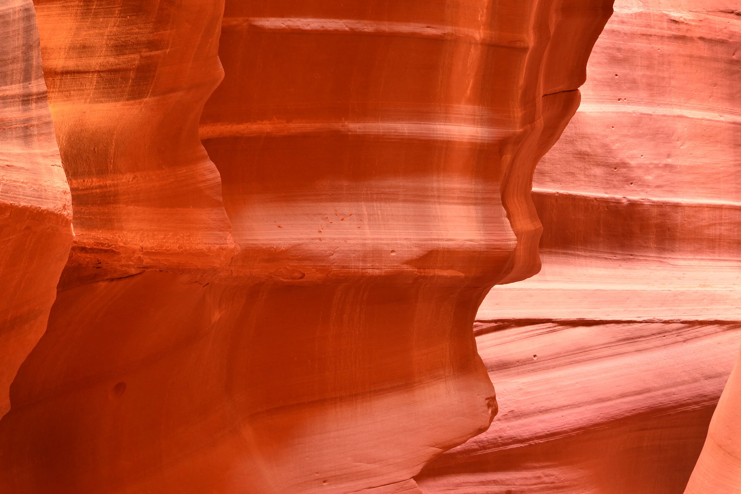 DSC_0172a.jpg