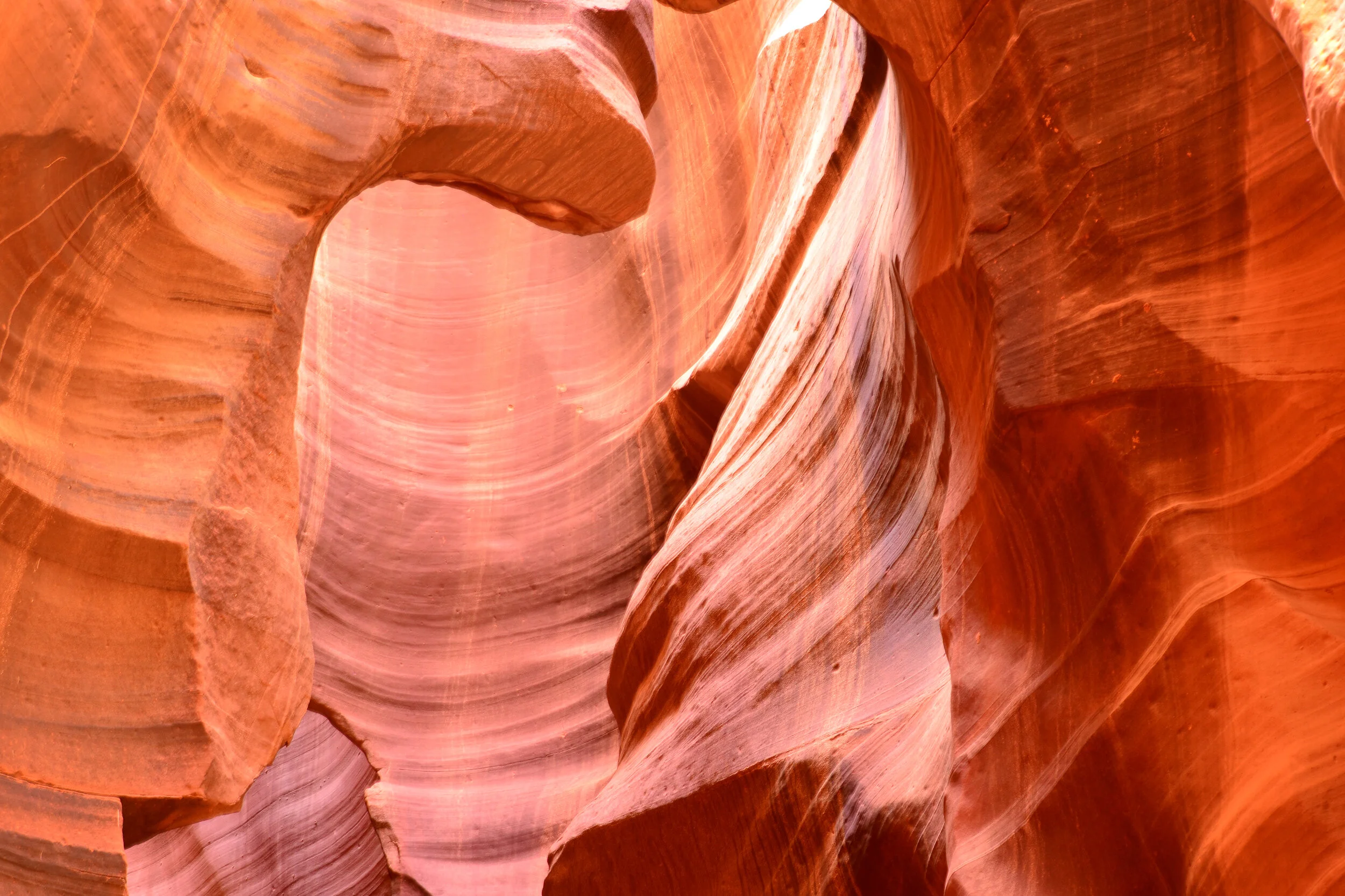 DSC_0177a.jpg