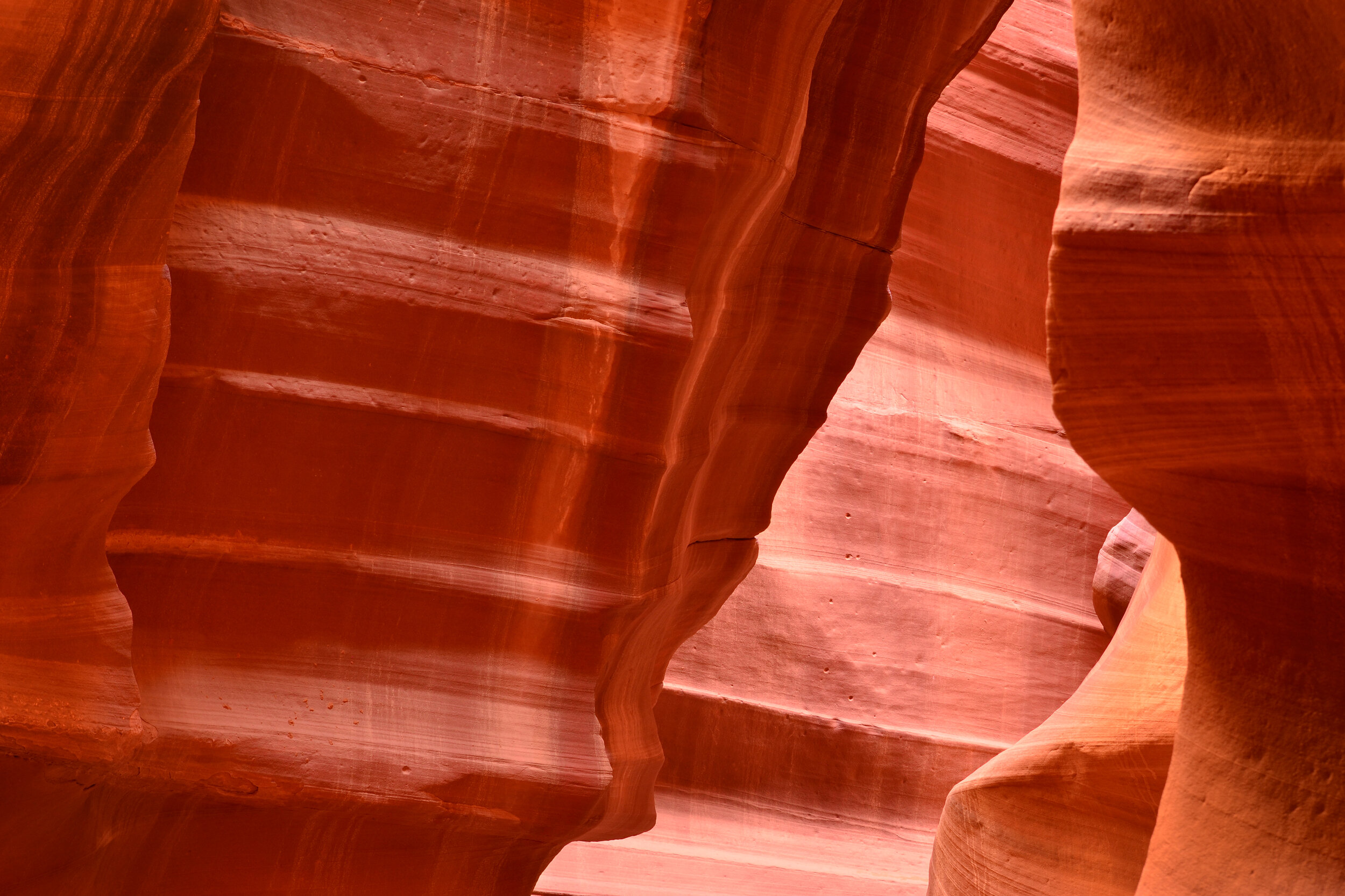 DSC_0163a.jpg