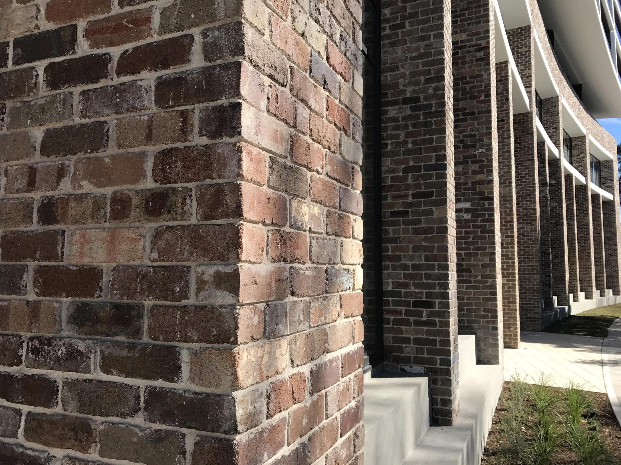 Parc Mezzo Wentworth Park Road Glebe, 12 15 21 pm.jpg