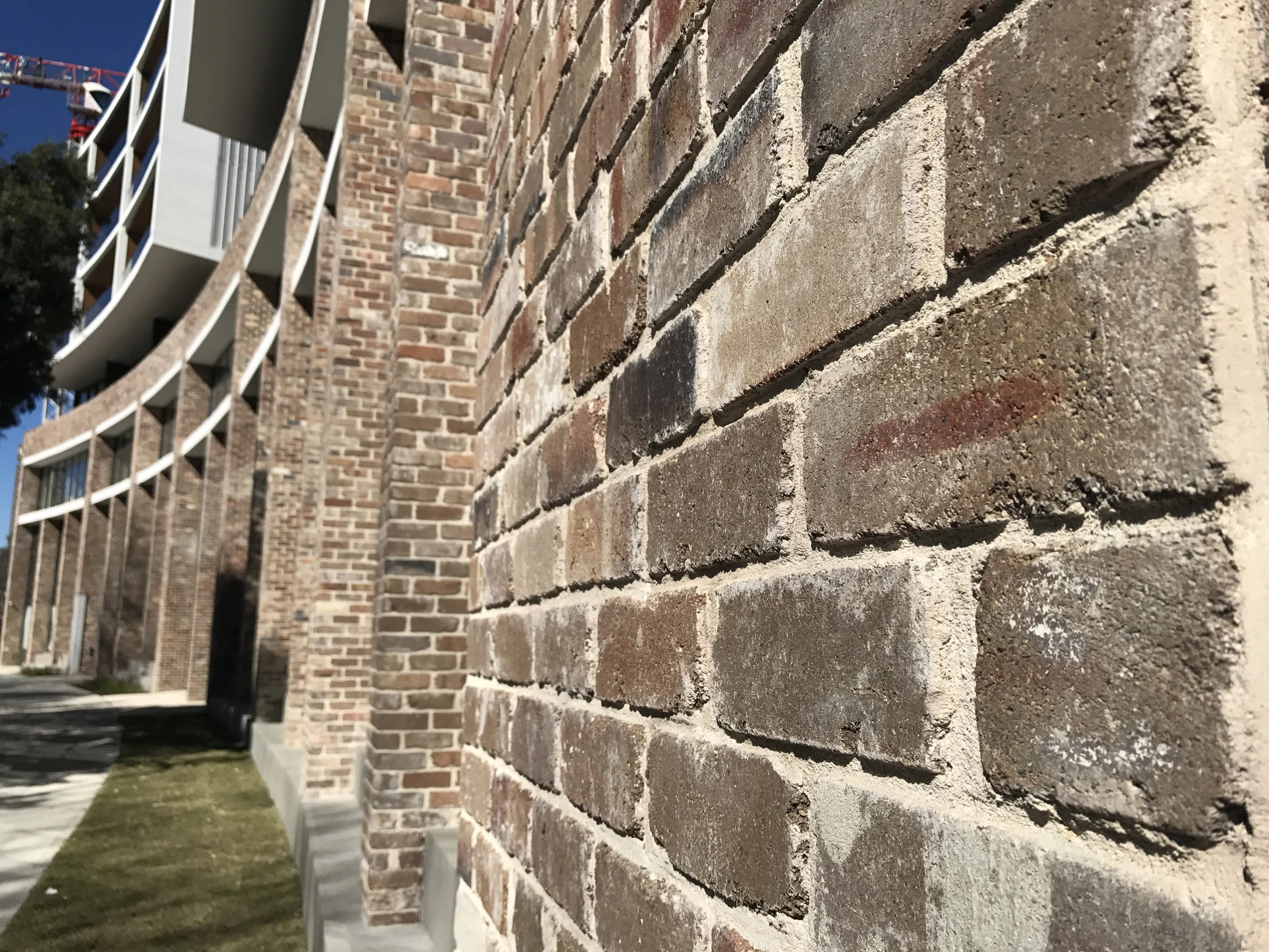 Parc Mezzo Wentworth Park Road Glebe, 12 16 22 pm.jpg